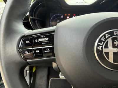 Alfa-Romeo Junior Speciale (2024) - Photo 11
