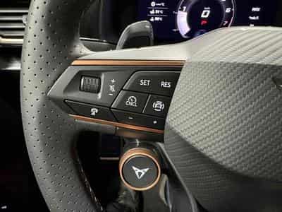 Cupra Formentor VZ 2.0 TSI 333cv 4X4 (2025) - Foto 12