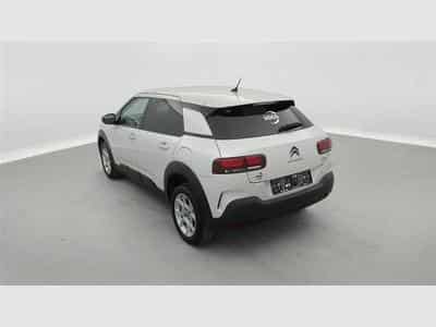 Citroen C4 Cactus 1.2 PureTech Shine (EU6.2) (2020) - Photo 2
