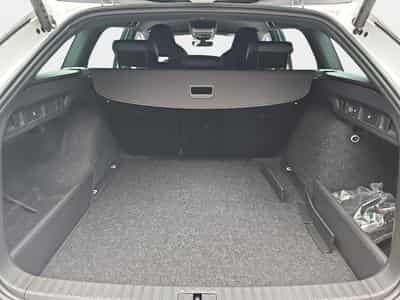 Skoda Octavia 2.0 TDi 150 DSG Sportline (2026) - Photo 13