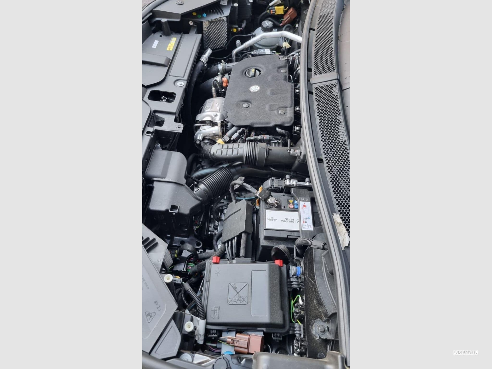 Citroën DS NOUVELLE DS7 BLUEHDI 130 AUTOMATIQUE PERFOLINE+ (2023) - Foto 1