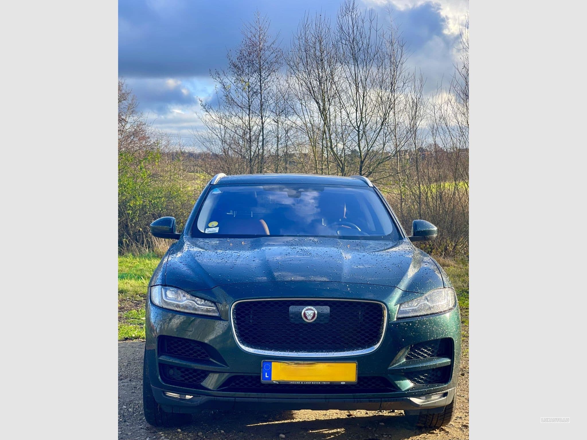 Jaguar F-Pace (2016) - Photo 1