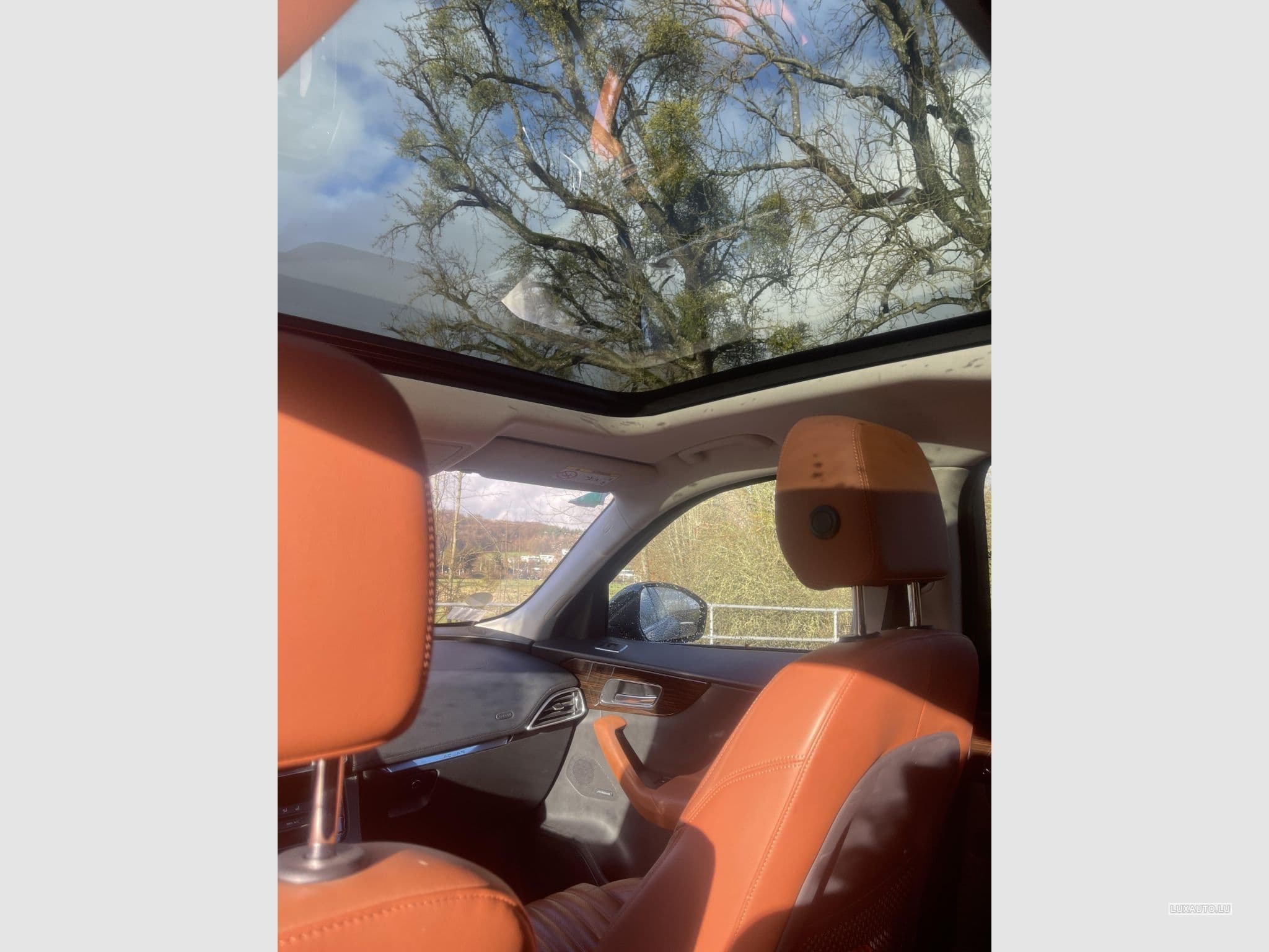 Jaguar F-Pace (2016) - Photo 2