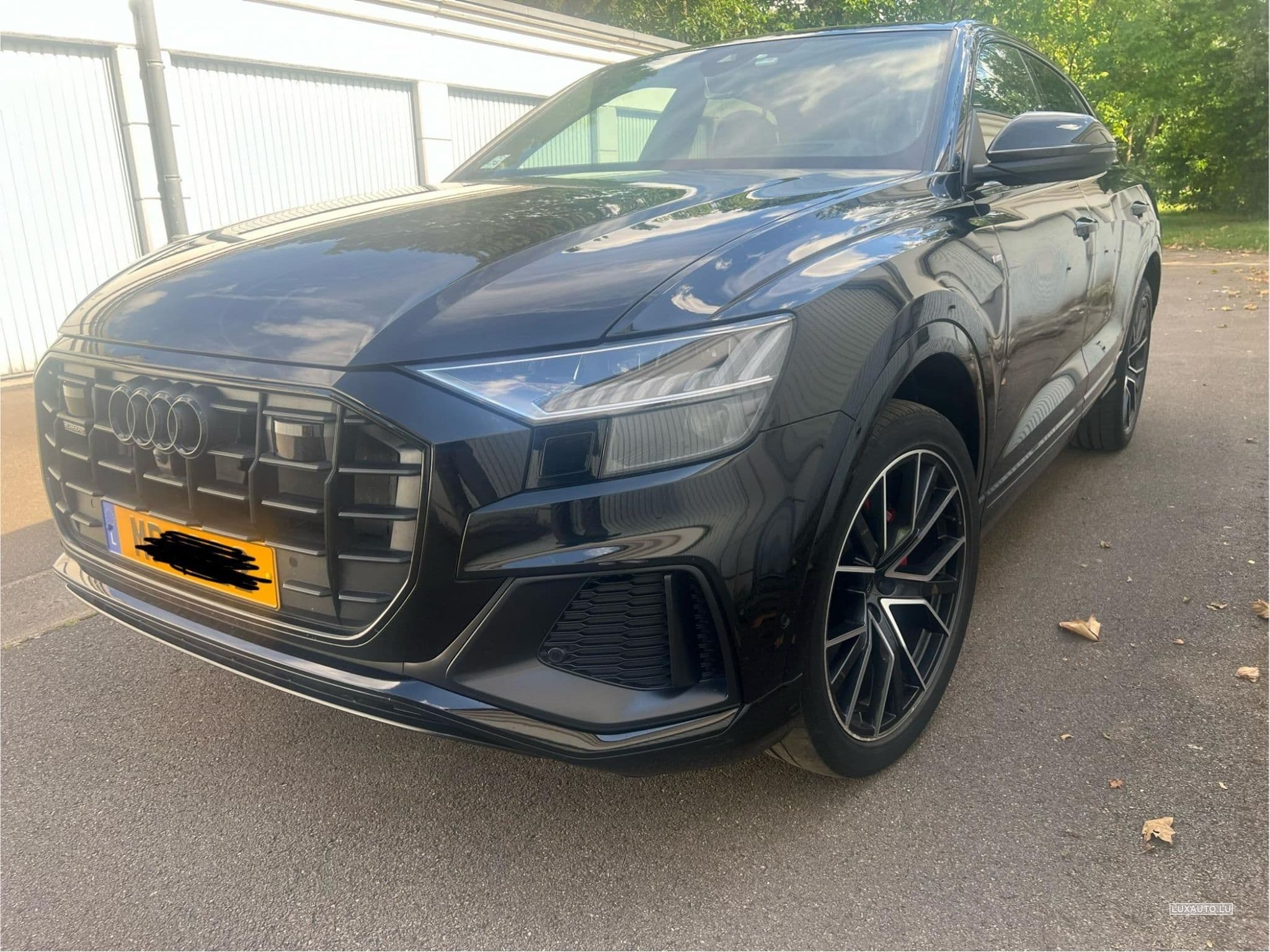 Audi Q8 S-line (2022) - Photo 4