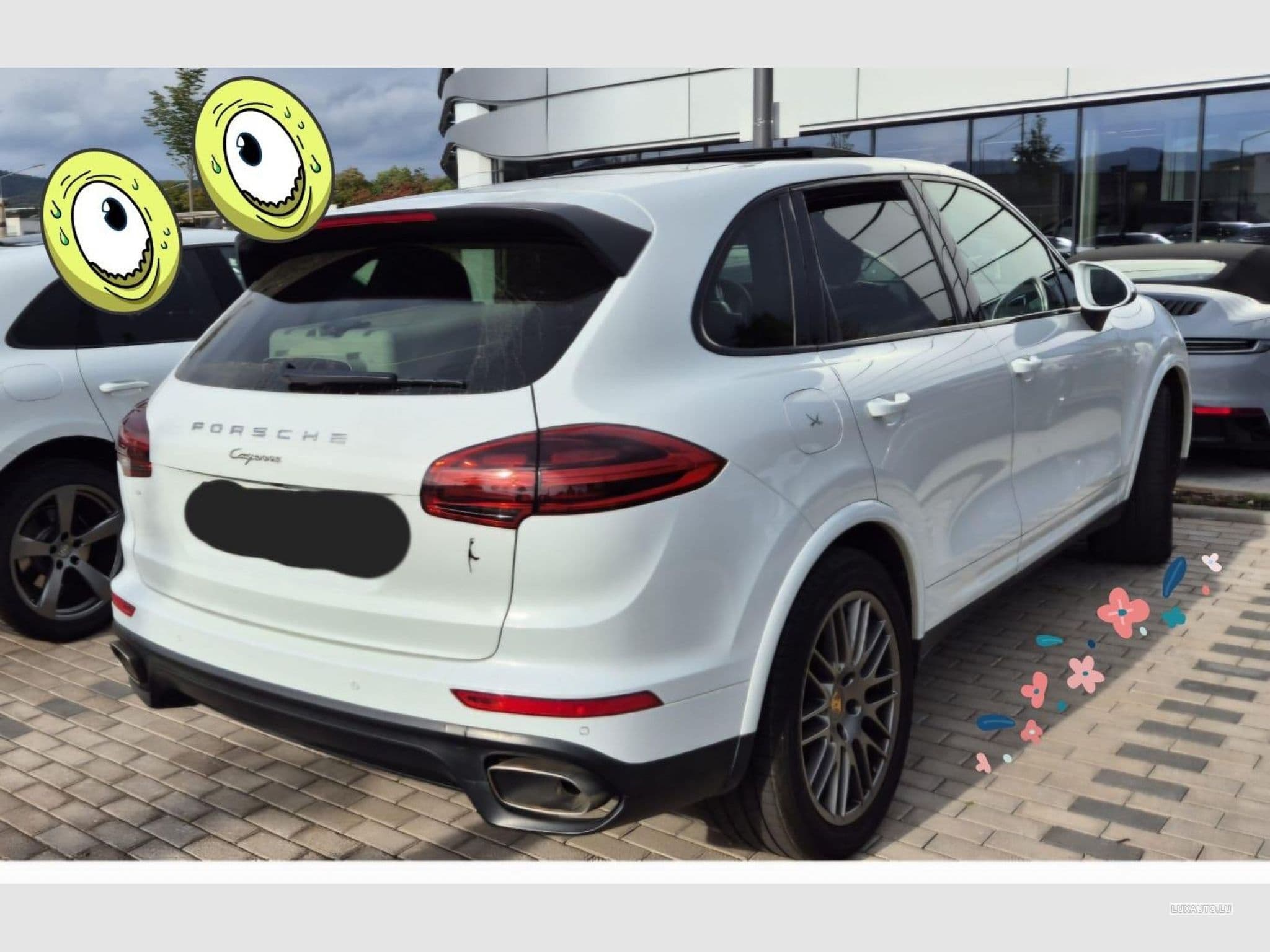 Porsche Cayenne Platinium (2018) - Photo 3