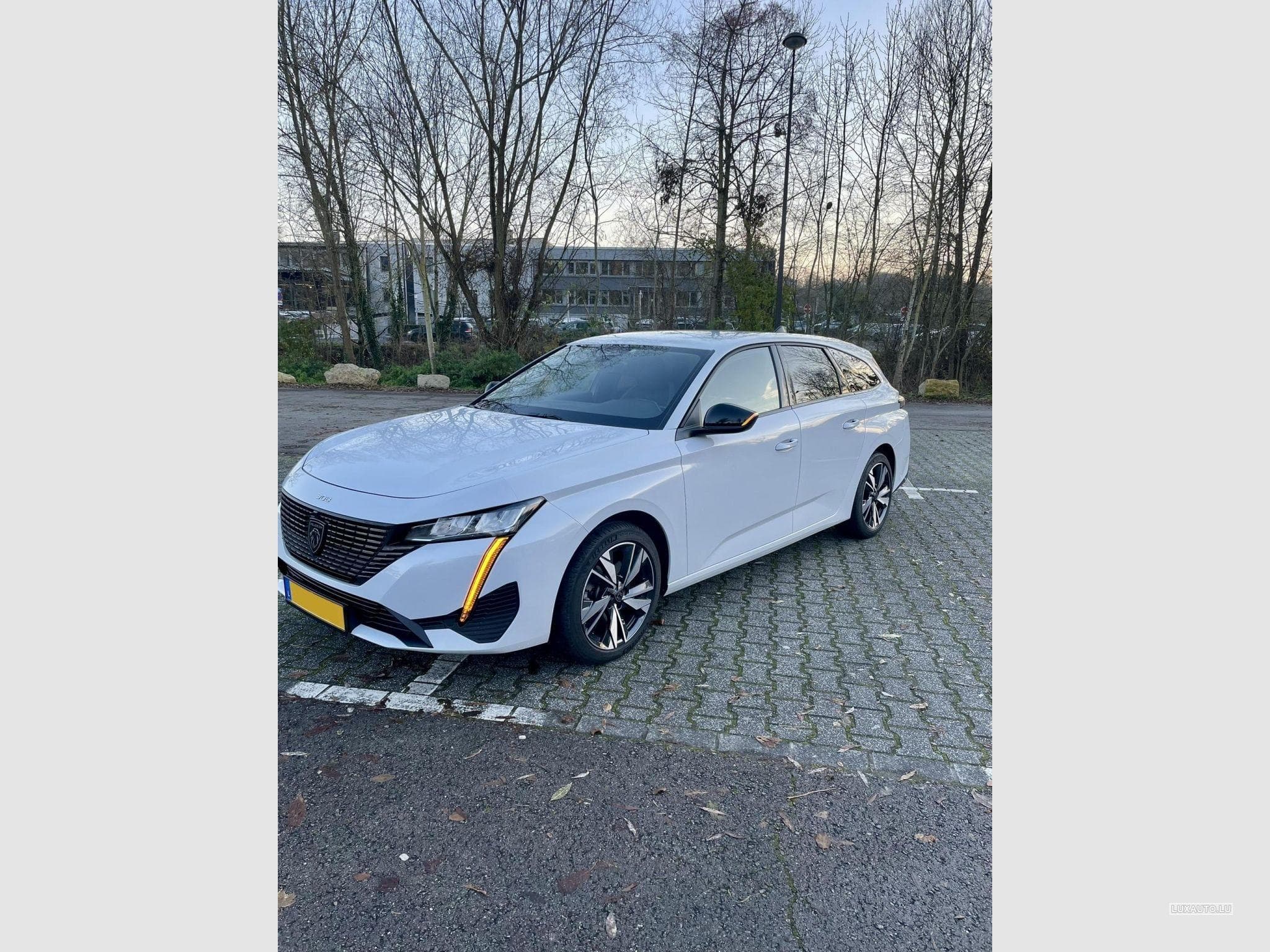 Peugeot 308 Allure (2024) - Foto 3