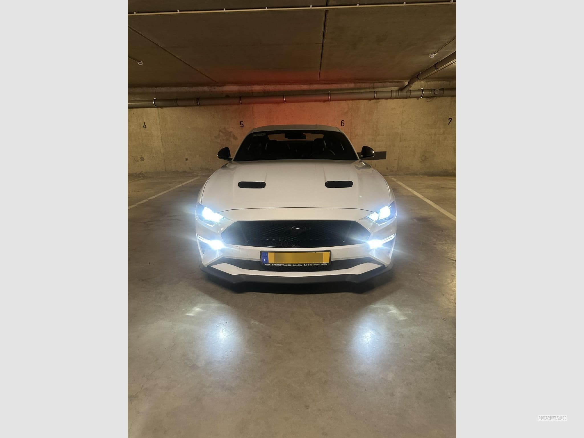 Ford Mustang GT (2018) - Photo 1