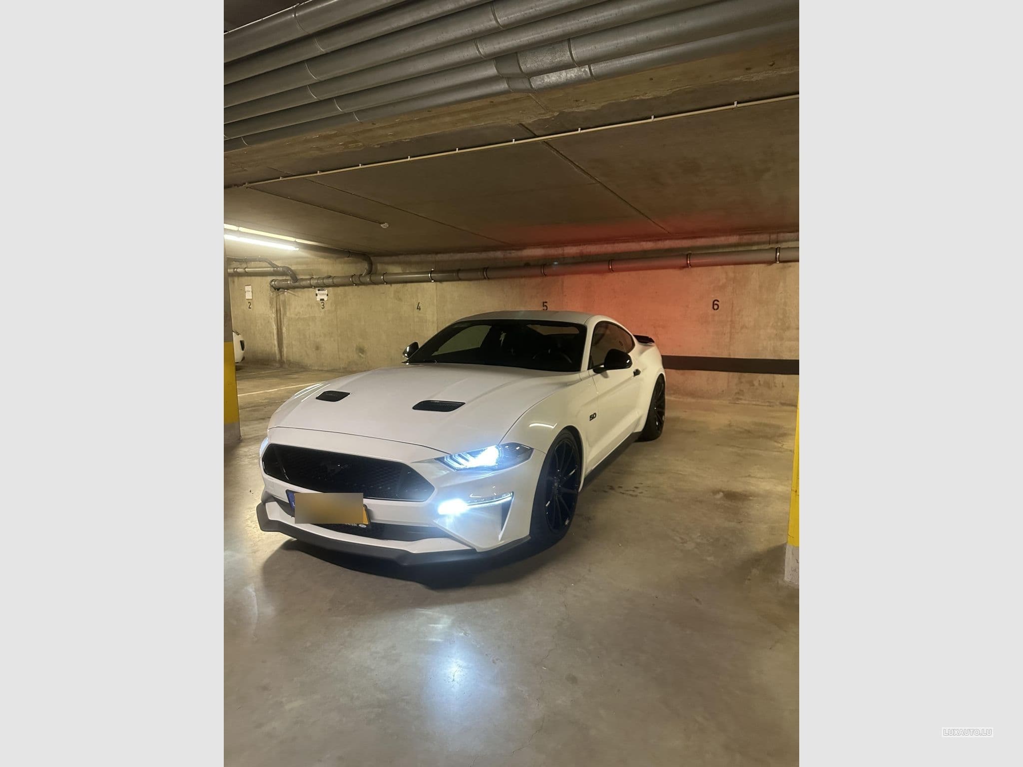 Ford Mustang GT (2018) - Photo 2