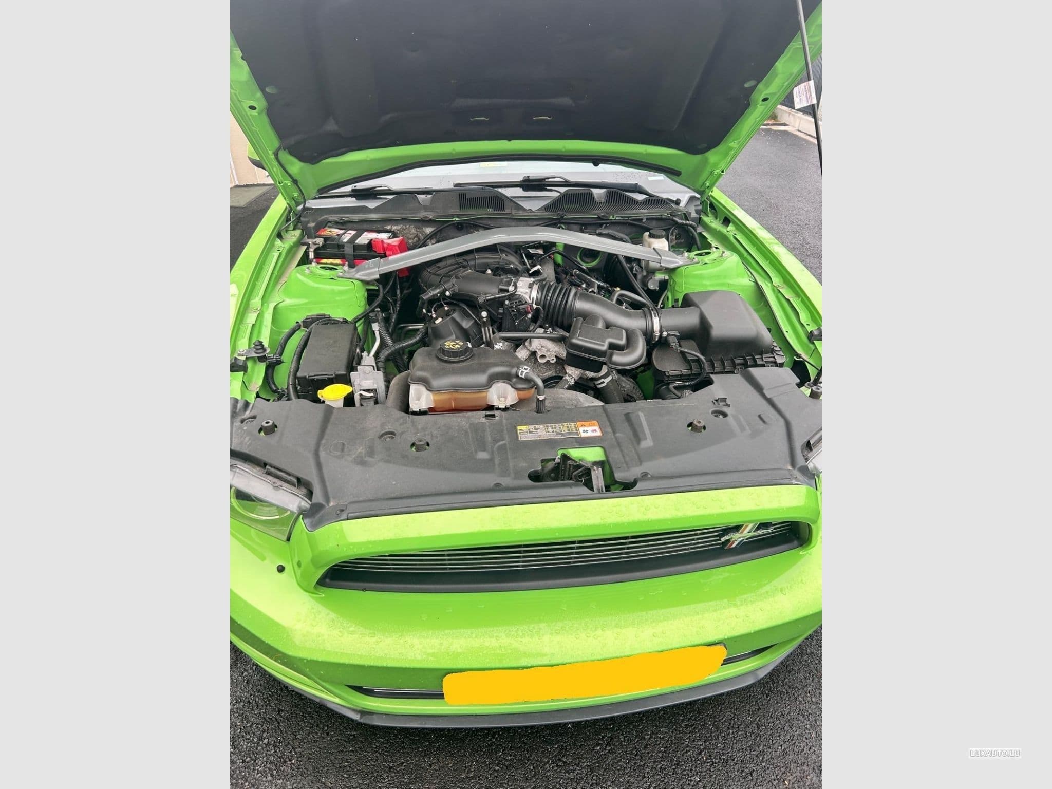 Ford Mustang Cabriolet (2014) - Photo 3