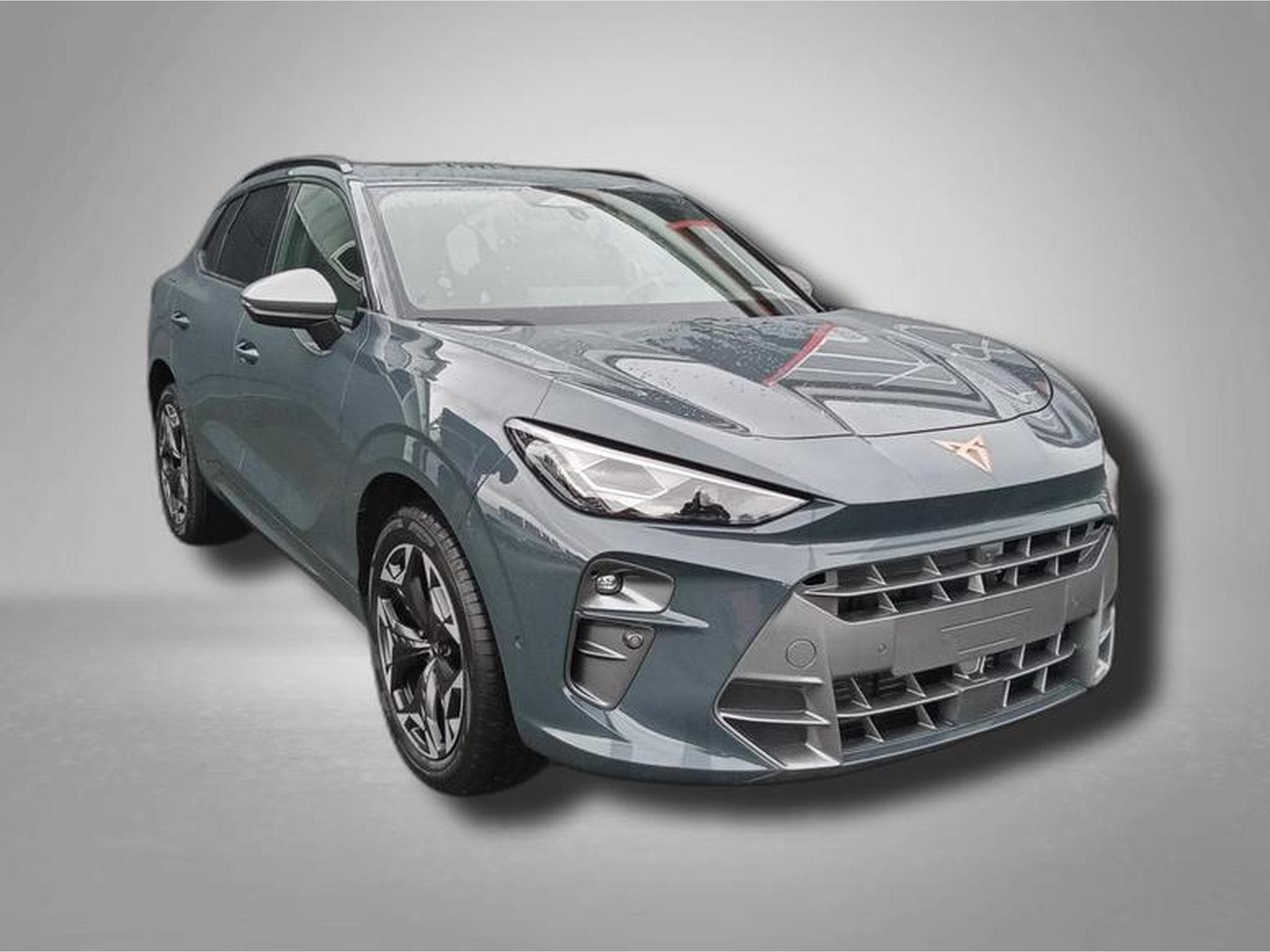 Cupra Terramar VZ 2.0 TSI 7-Gang-DSG 4Drive (2025) - Photo 1