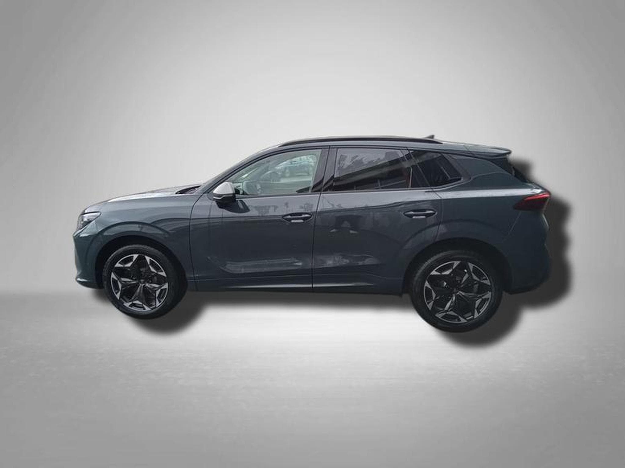 Cupra Terramar VZ 2.0 TSI 7-Gang-DSG 4Drive (2025) - Photo 2