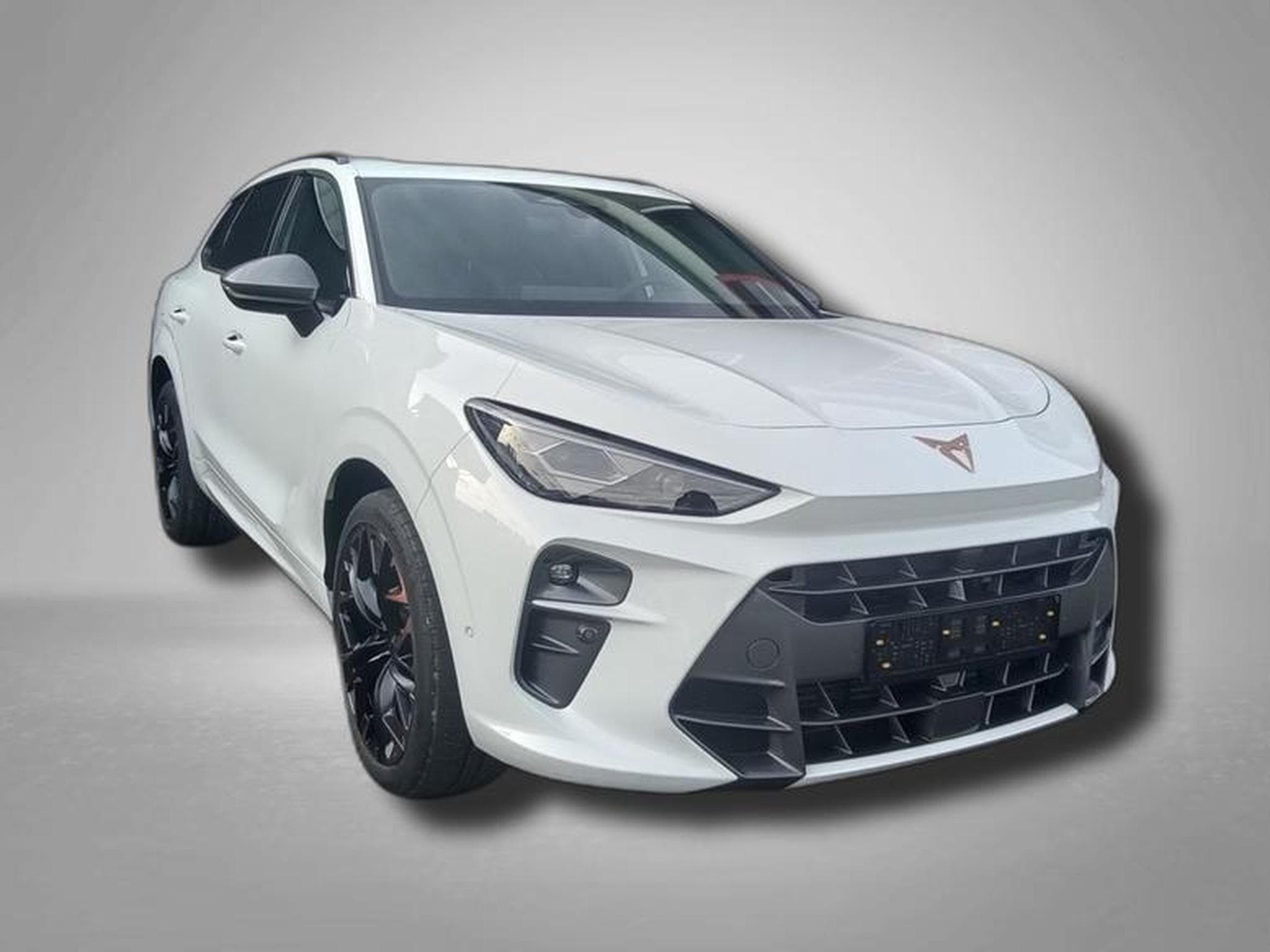 Cupra Terramar VZ 2.0 TSI 195 kW (265 PS) 7-Gang DSG 4Drive (2025) - Photo 1