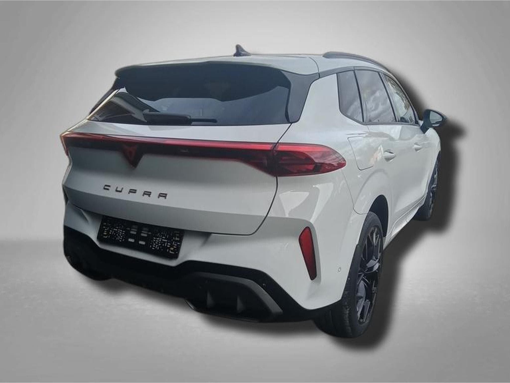 Cupra Terramar VZ 2.0 TSI 195 kW (265 PS) 7-Gang DSG 4Drive (2025) - Photo 4