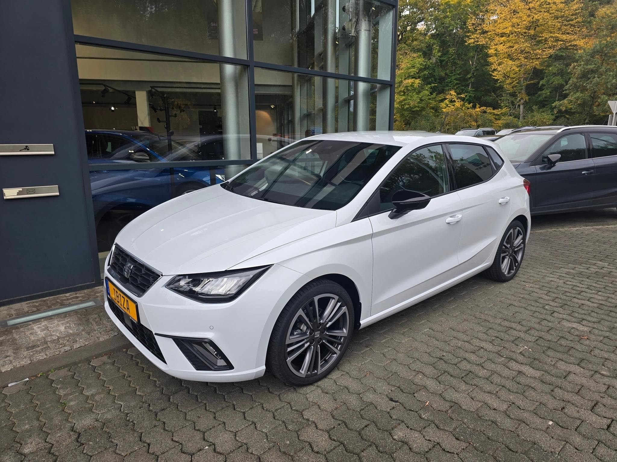Seat Ibiza FR 1.0TSI 115ch DSG7 (2025) - Foto 1