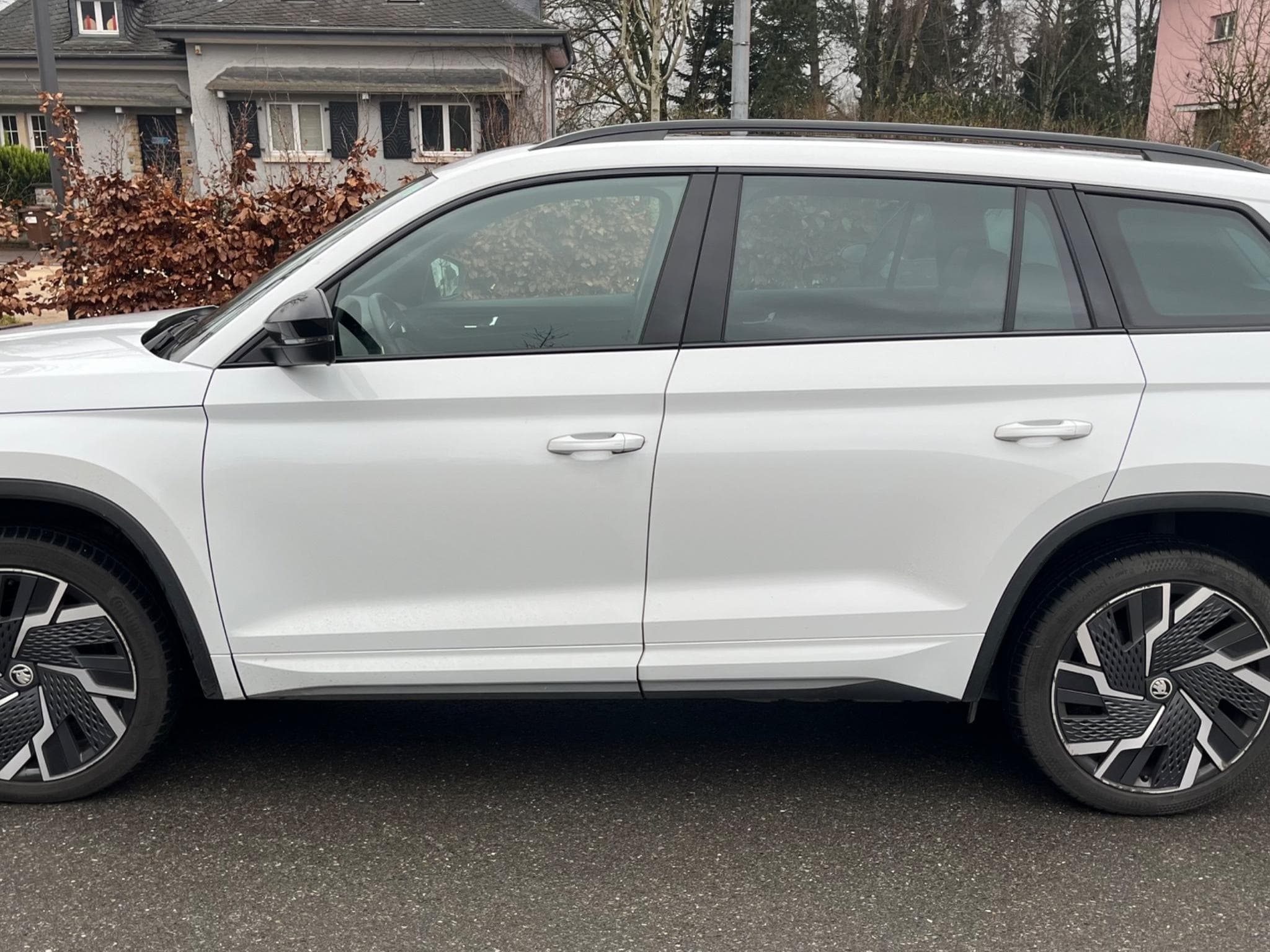 Skoda Kodiaq RS (2022) - Photo 3