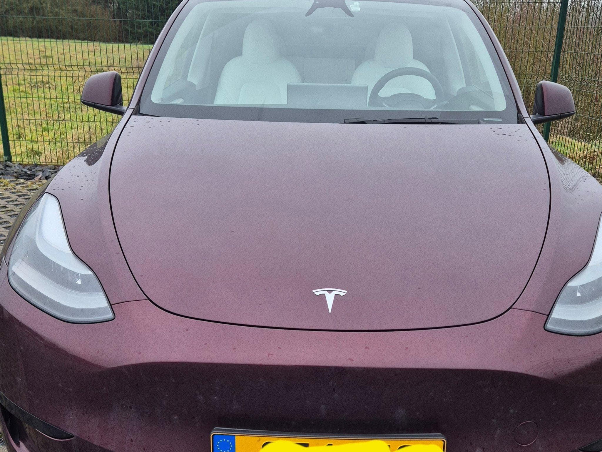 Tesla Model Y (2024) - Photo 1