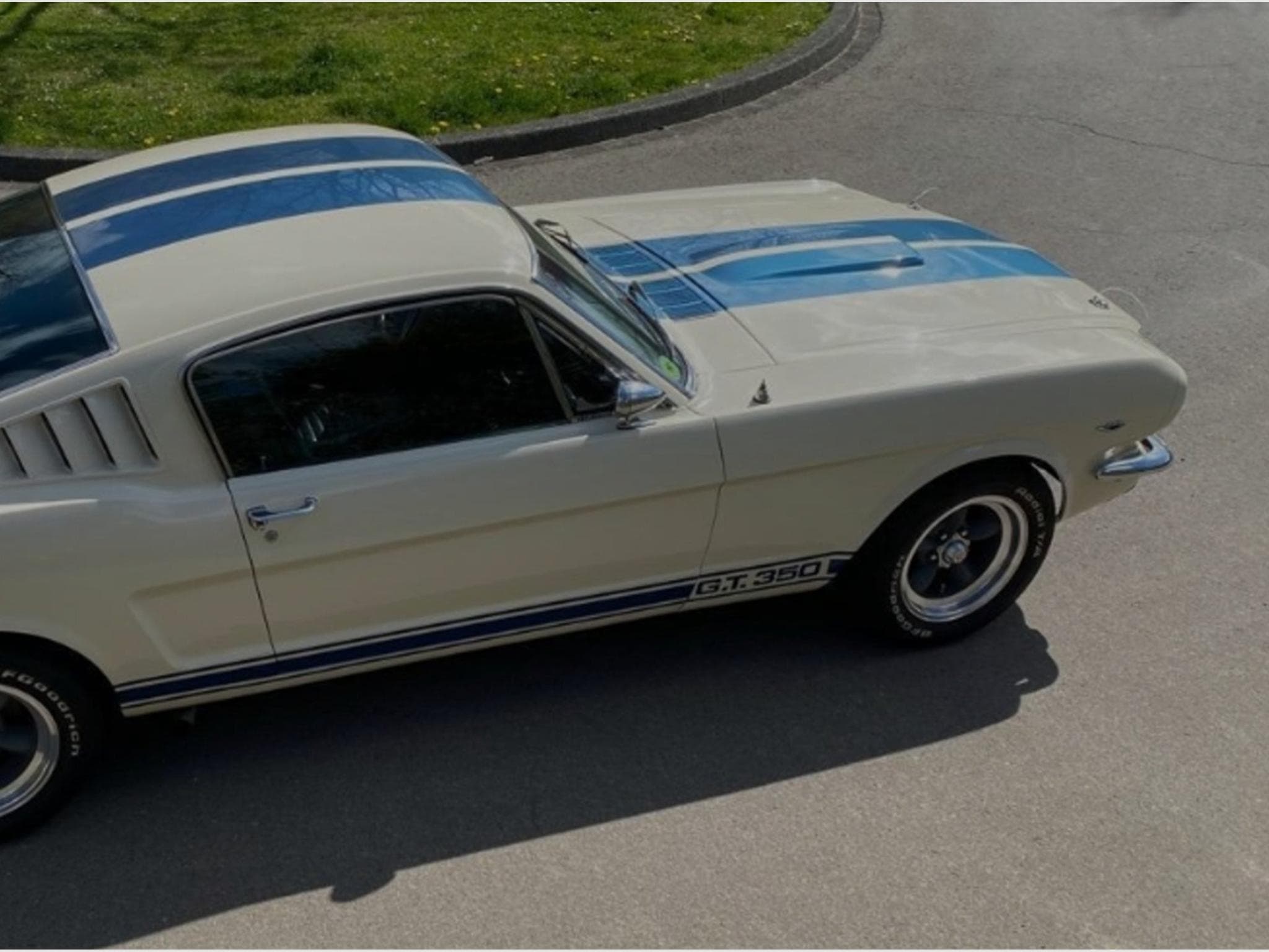 Ford Mustang Fastback GT350 A 1965 (2000) - Foto 5