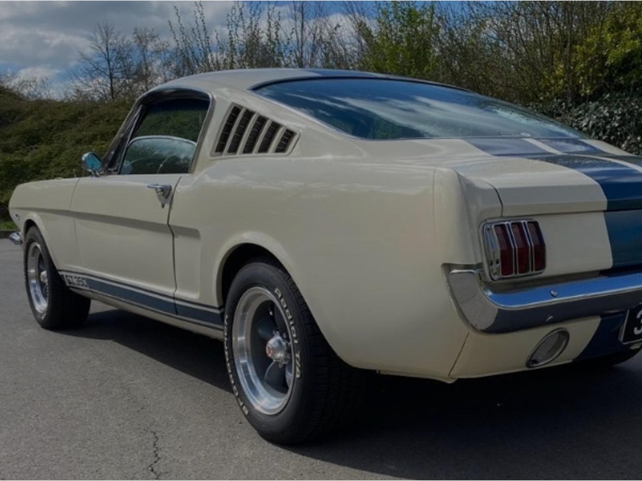 Ford Mustang Fastback GT350 A 1965 (2000) - Foto 6