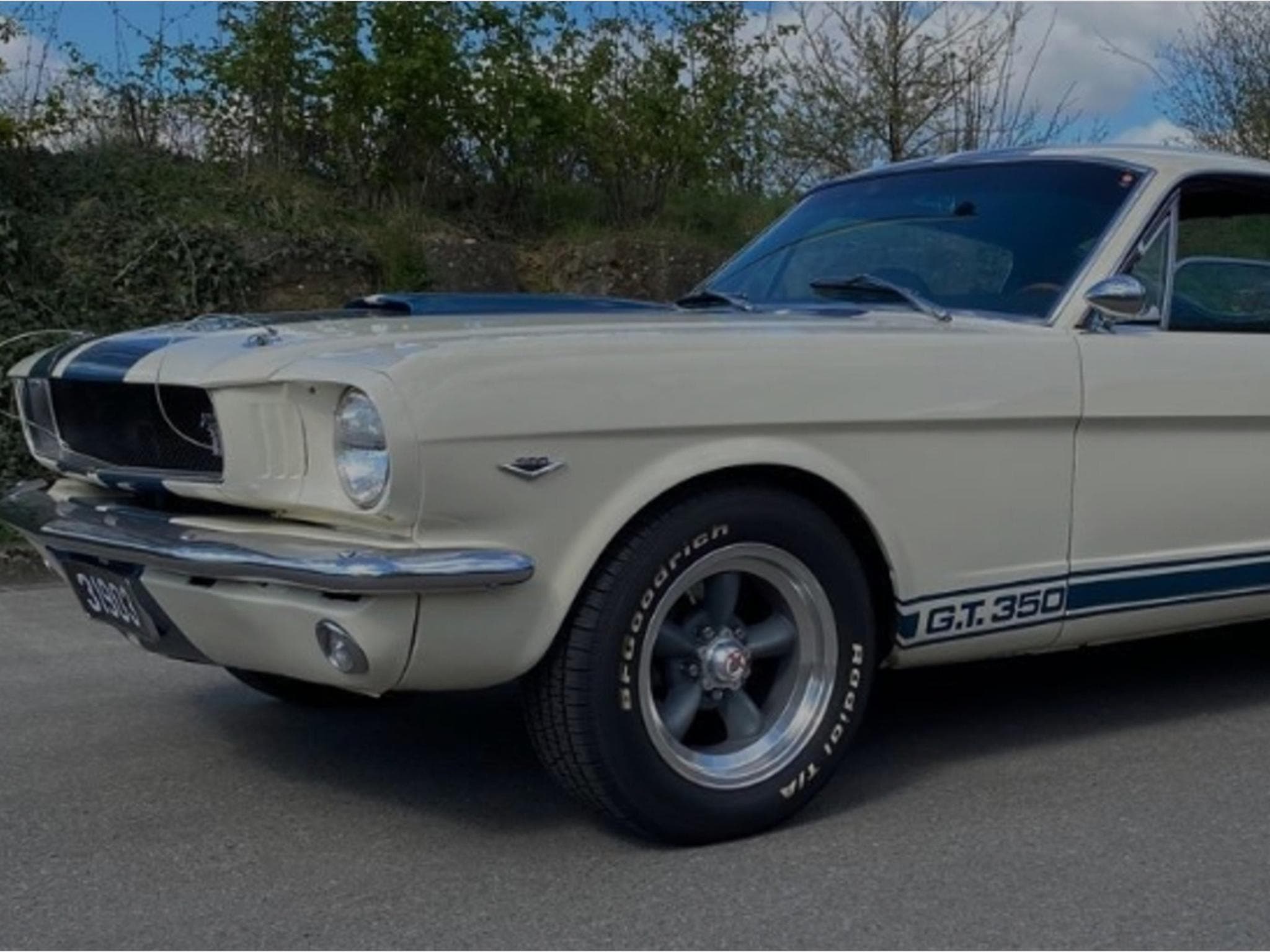 Ford Mustang Fastback GT350 A 1965 (2000) - Foto 7