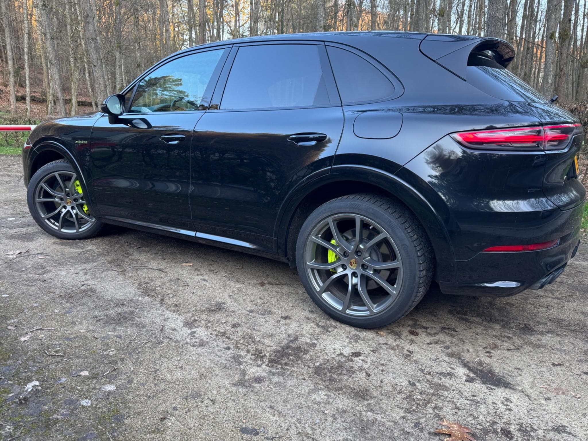 Porsche Cayenne E-Hybride Platinum Edition (2023) - Photo 2