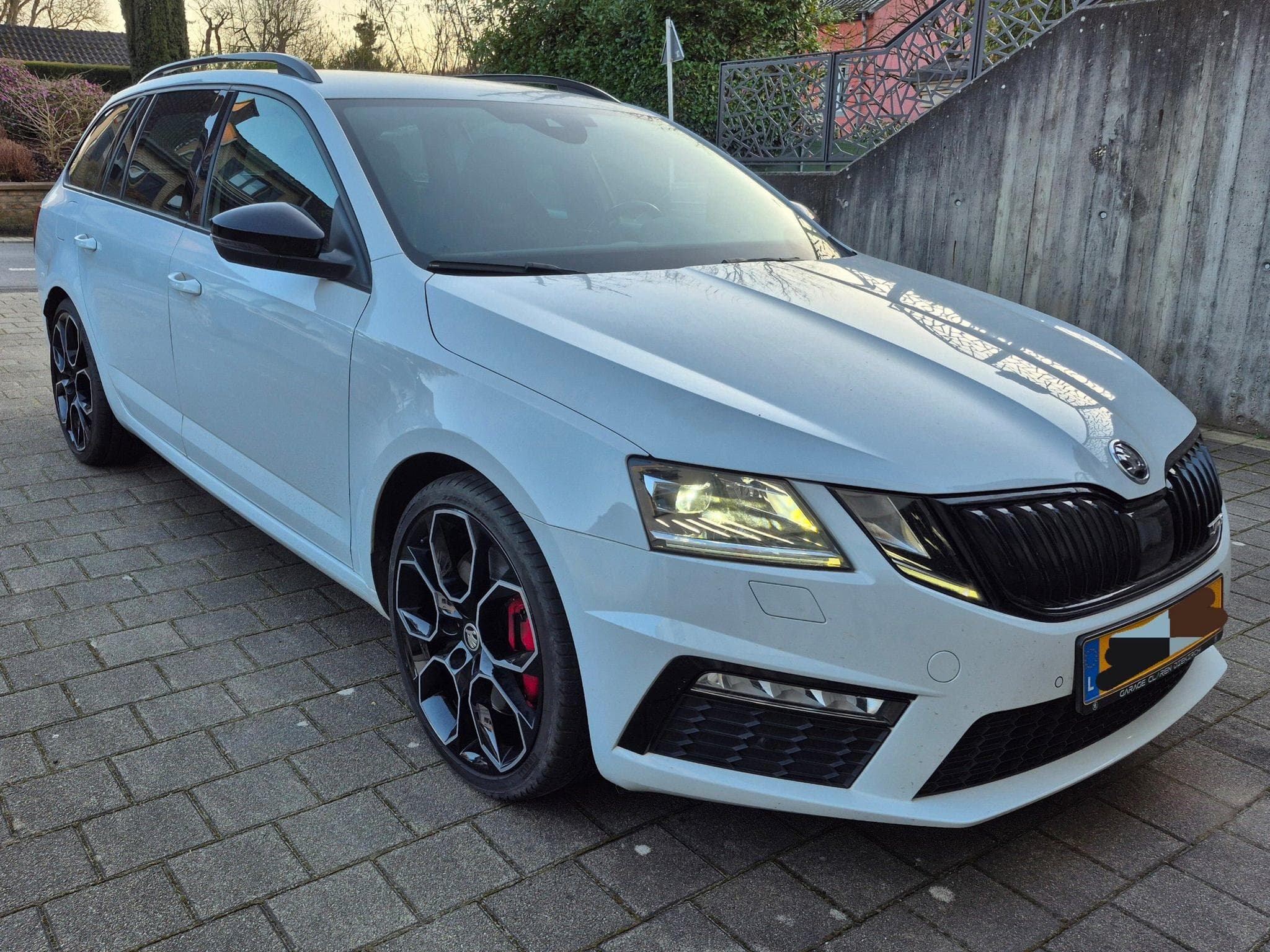 Skoda Octavia RS245 (2017) - Photo 3