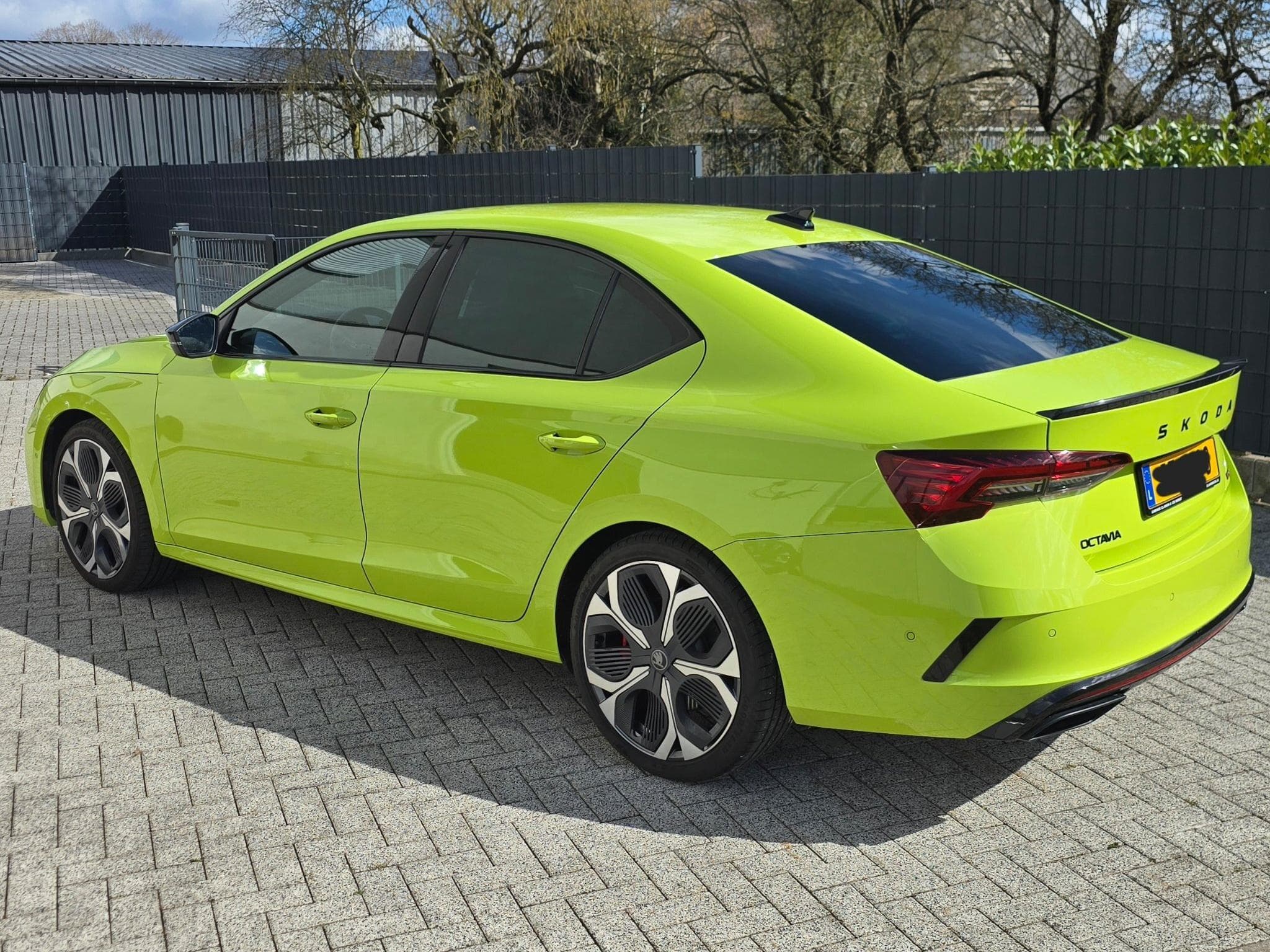 Skoda Octavia RS (2025) - Photo 2