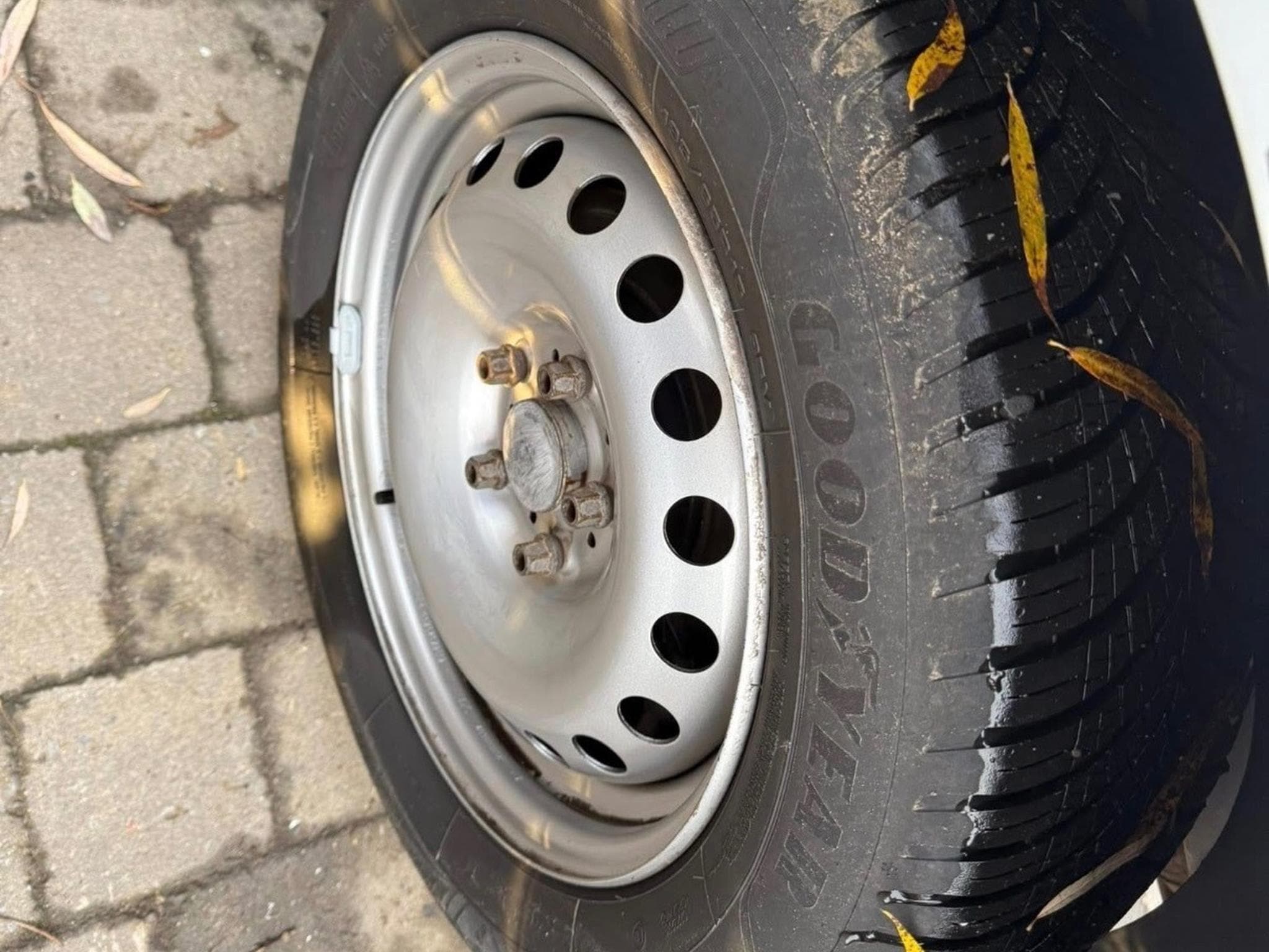 Renault Kangoo maxi (2018) - Photo 8