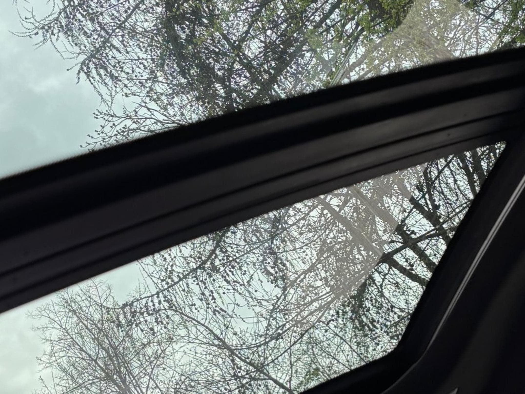 BMW 220 Gran Coupé M Sport (2020) - Foto 6