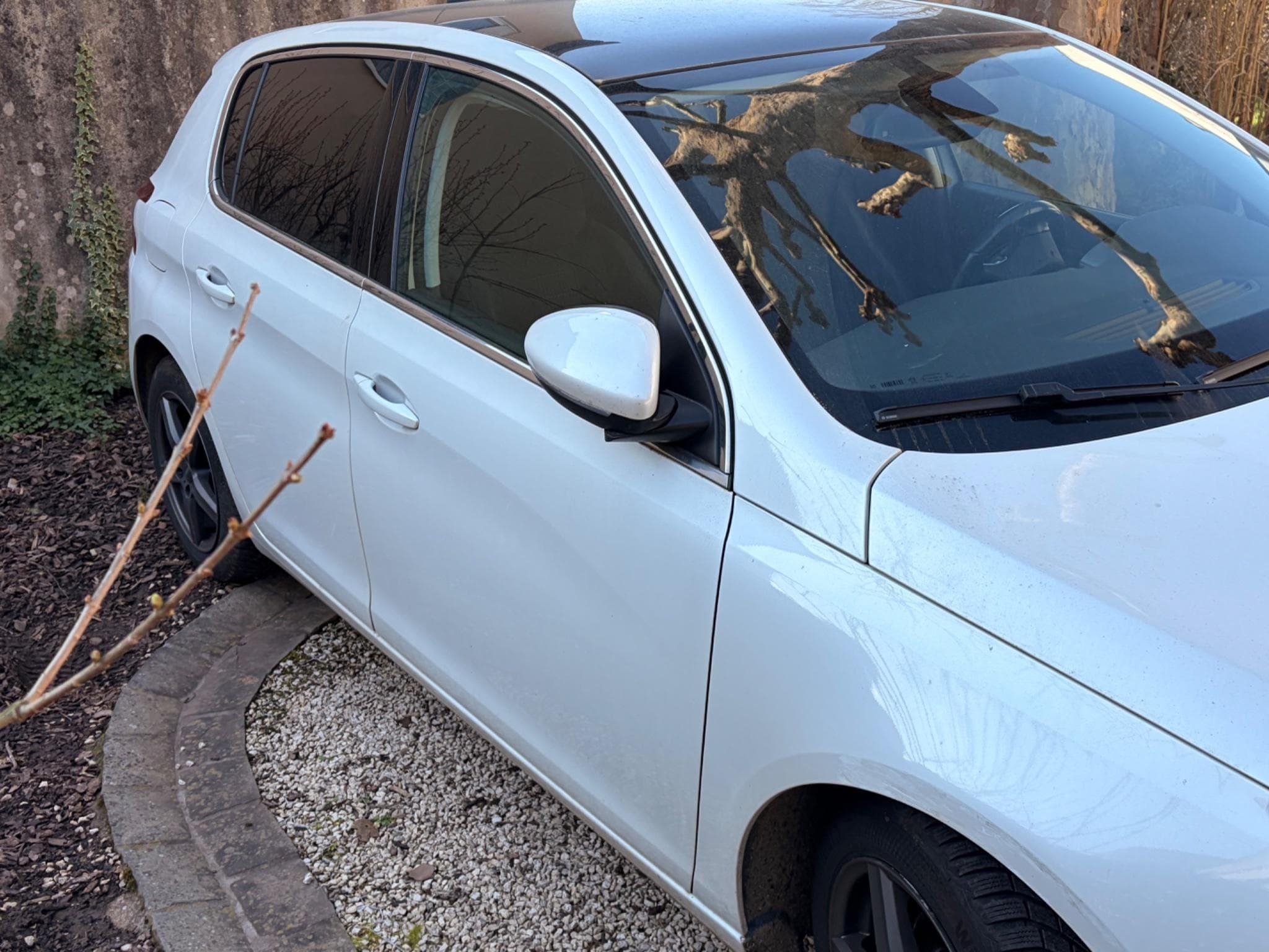 Peugeot 308 (2018) - Foto 5