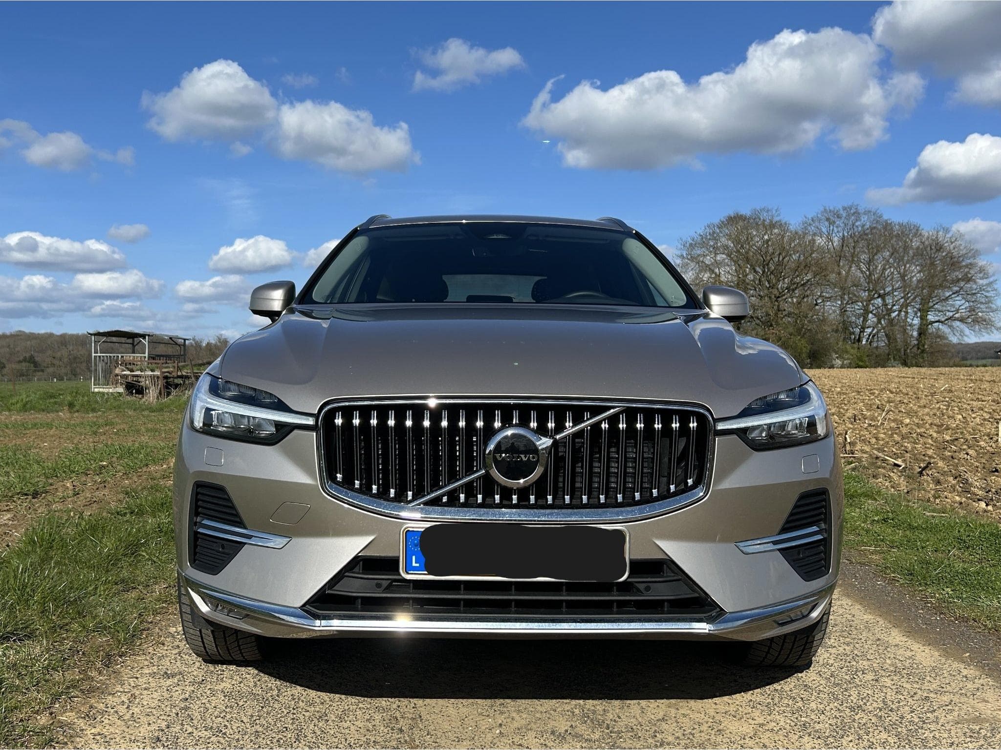 Volvo XC60 B4 Diesel Mild Hybrid Plus Bright (ASO) (2022) - Foto 1