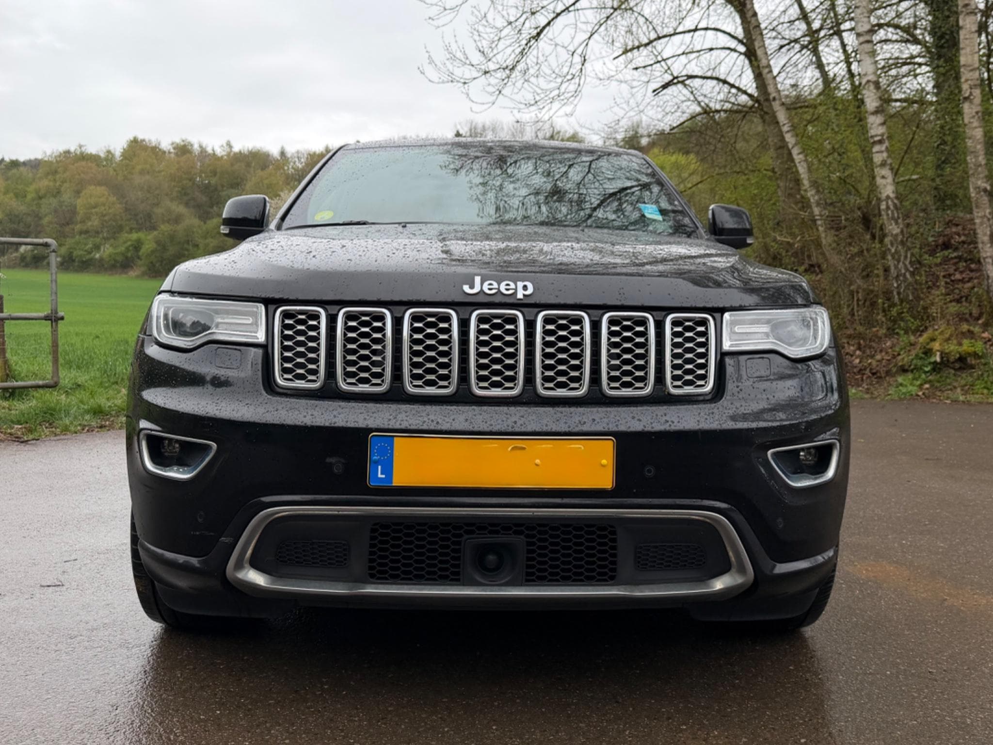 Jeep Grand Cherokee (2019) - Photo 4