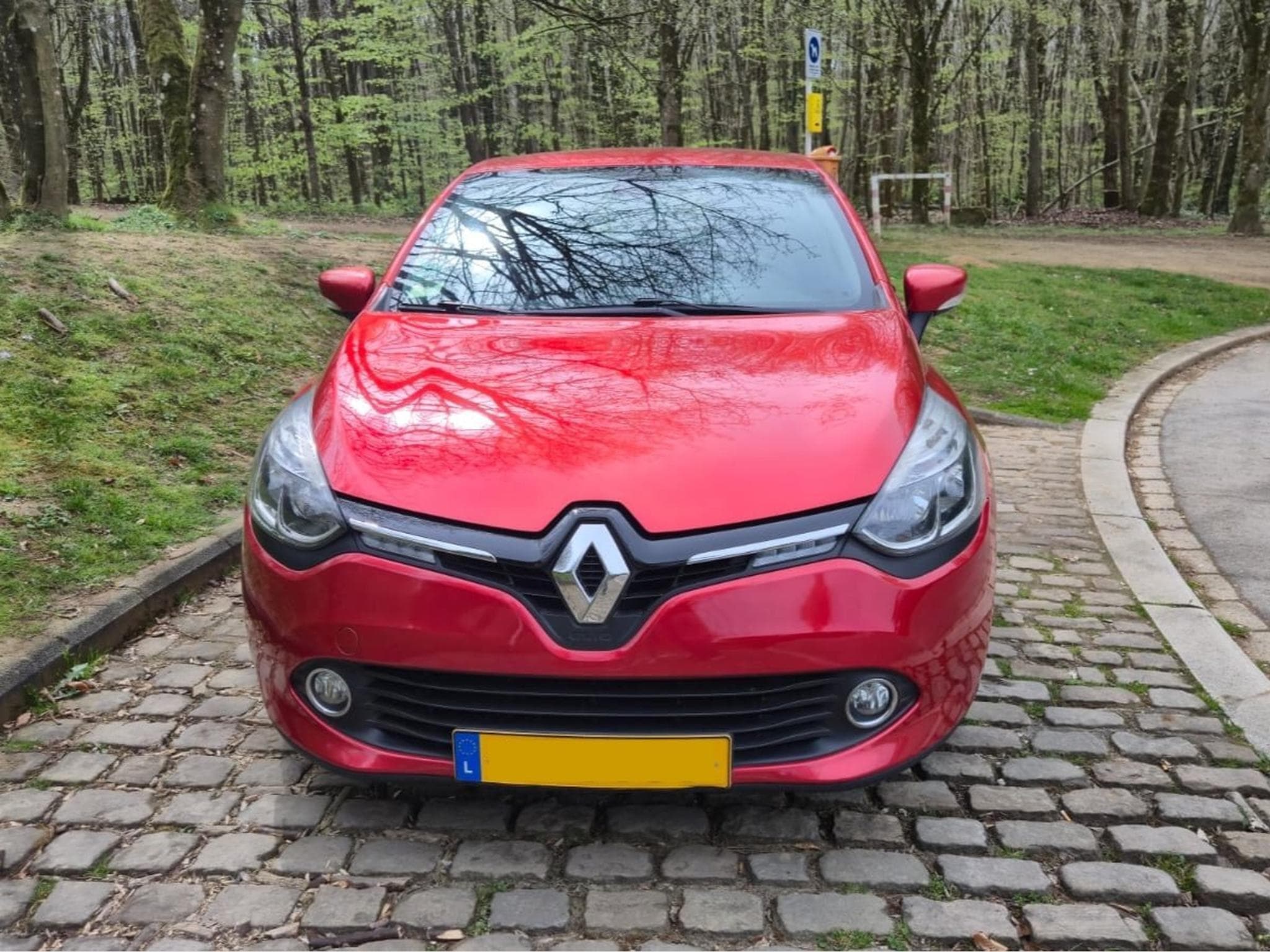 Renault Clio (2016) - Photo 1