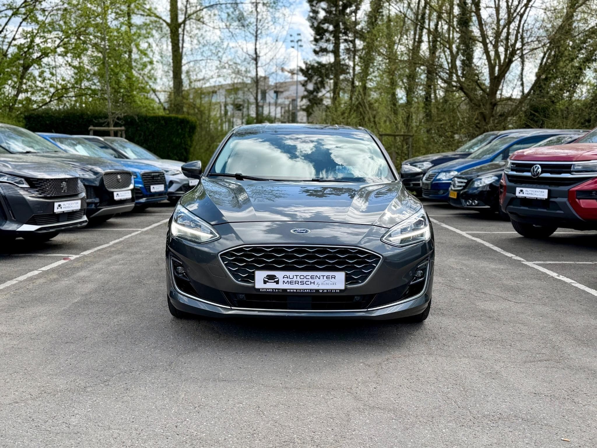 Ford Focus 1.5 EcoBoost 150 Aut. Vignale (2019) - Photo 2