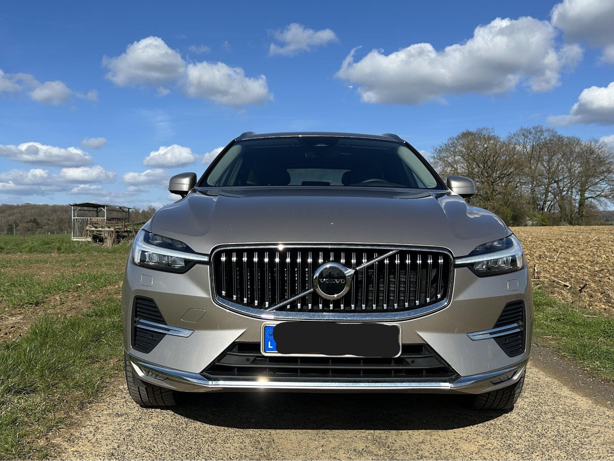 Volvo XC60 B4 Diesel Mild Hybrid Plus Bright (ASO) (2022) - Foto 1