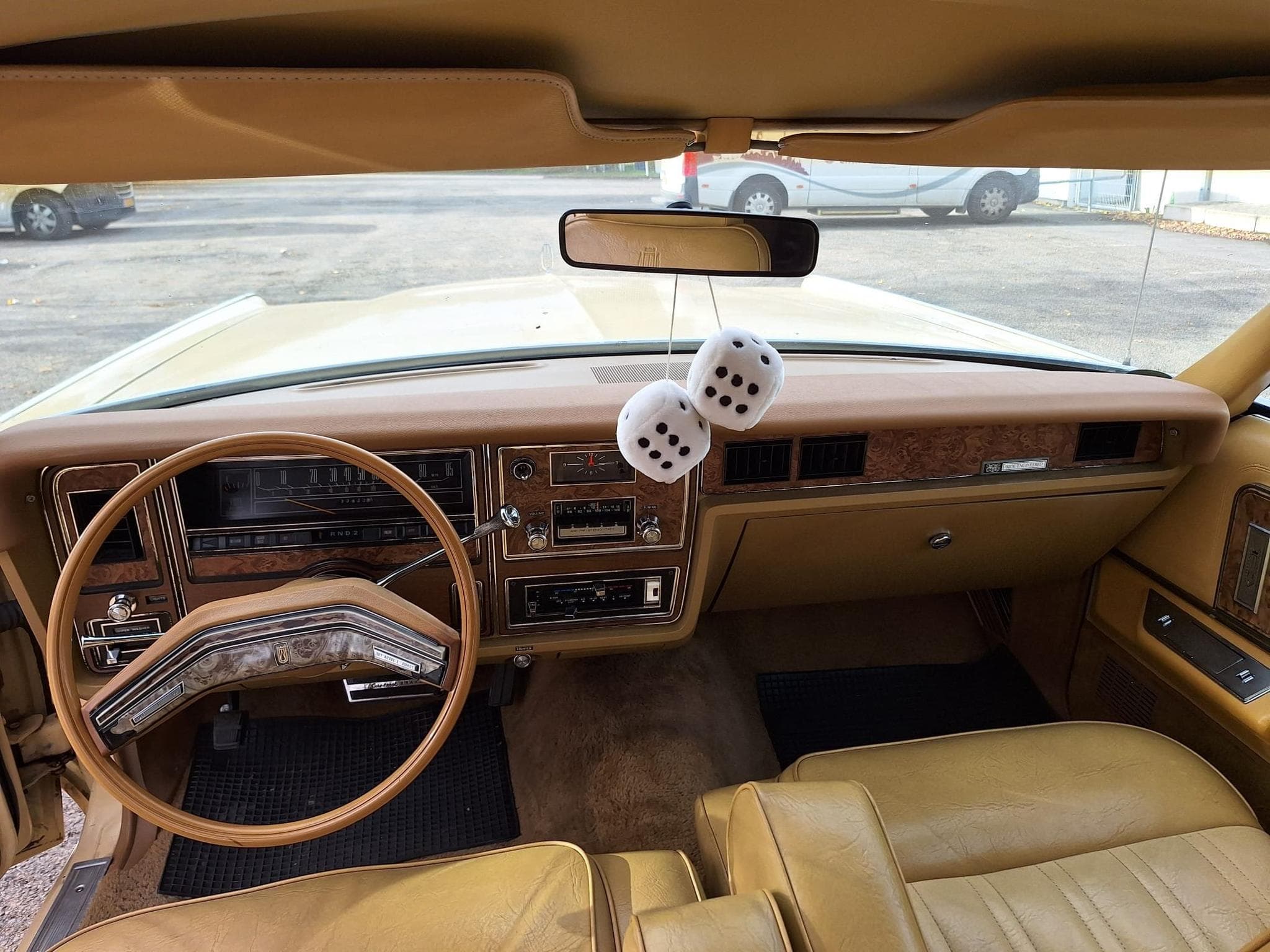 Mercury Grand Marquis Colony Park (1978) - Photo 5