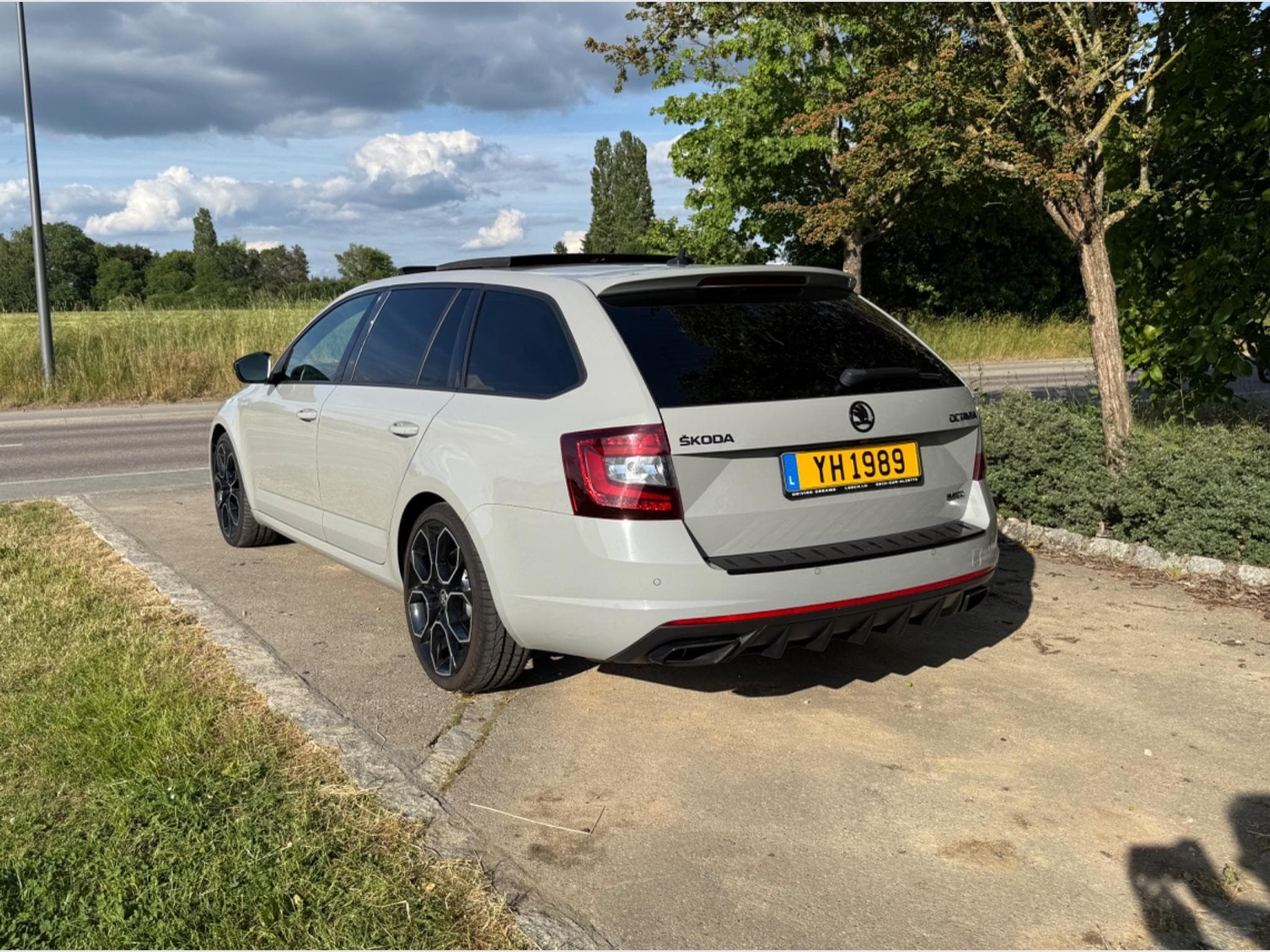 Skoda Octavia RS 245 (2018) - Photo 3