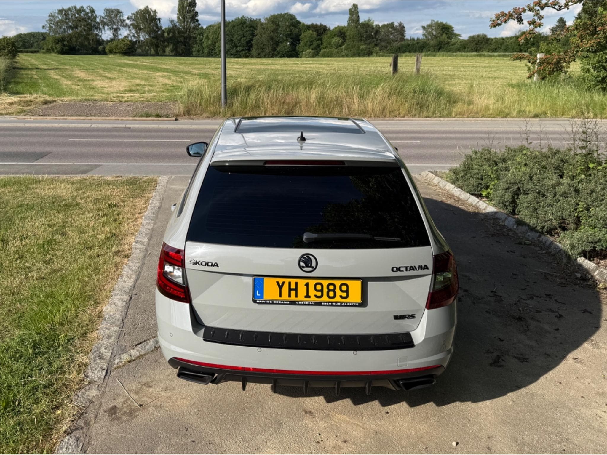 Skoda Octavia RS 245 (2018) - Photo 5