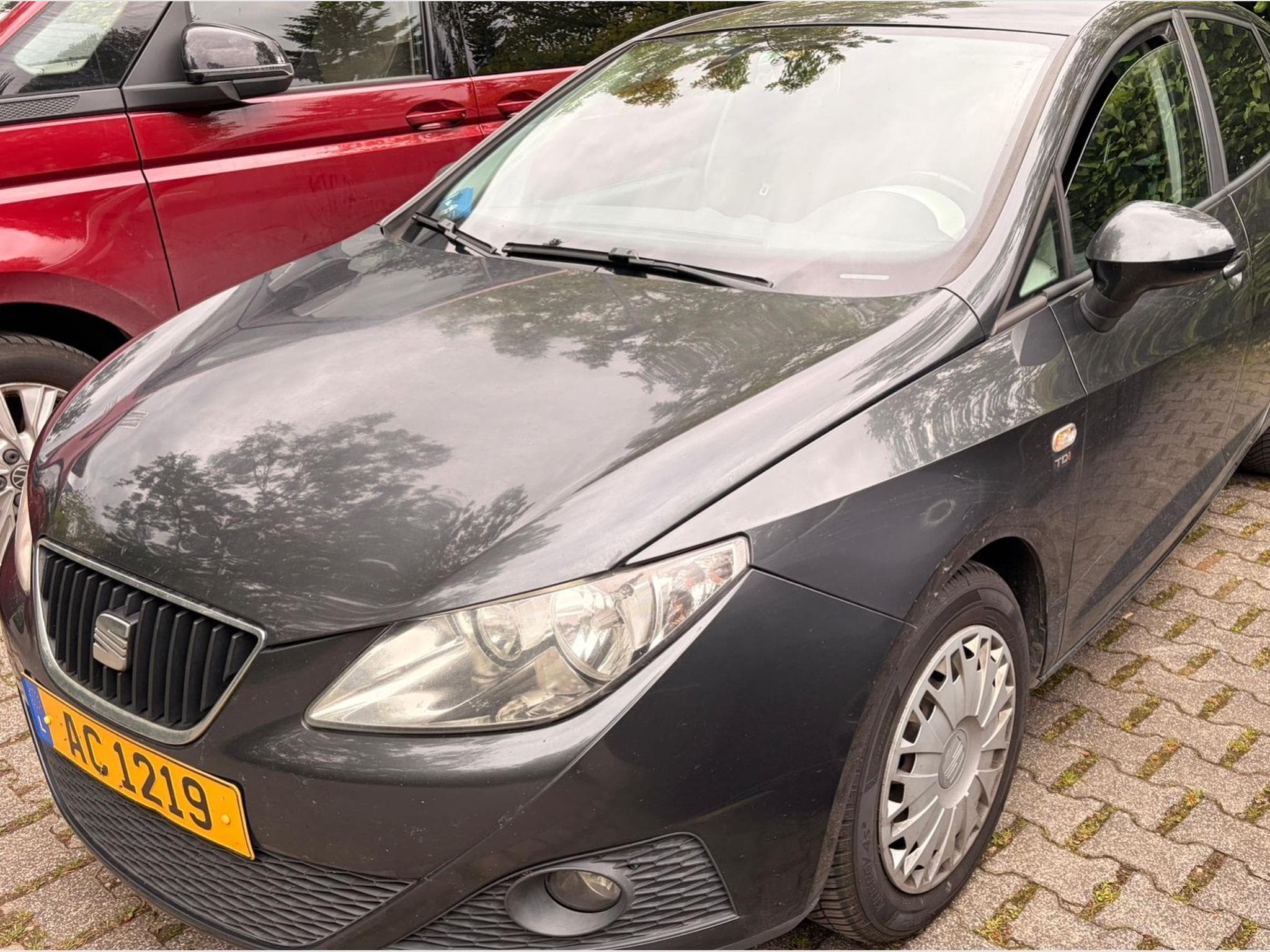 Seat Ibiza (2011) - Foto 1