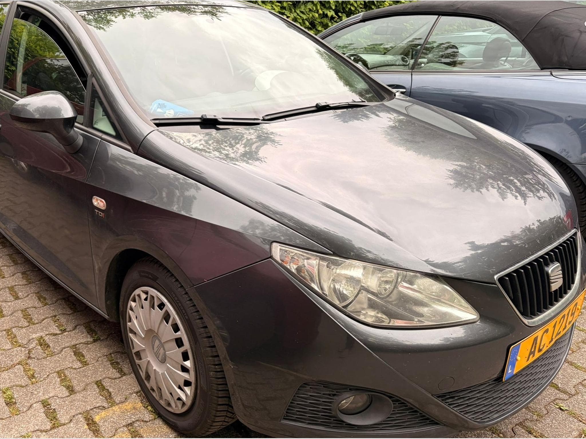 Seat Ibiza (2011) - Foto 2