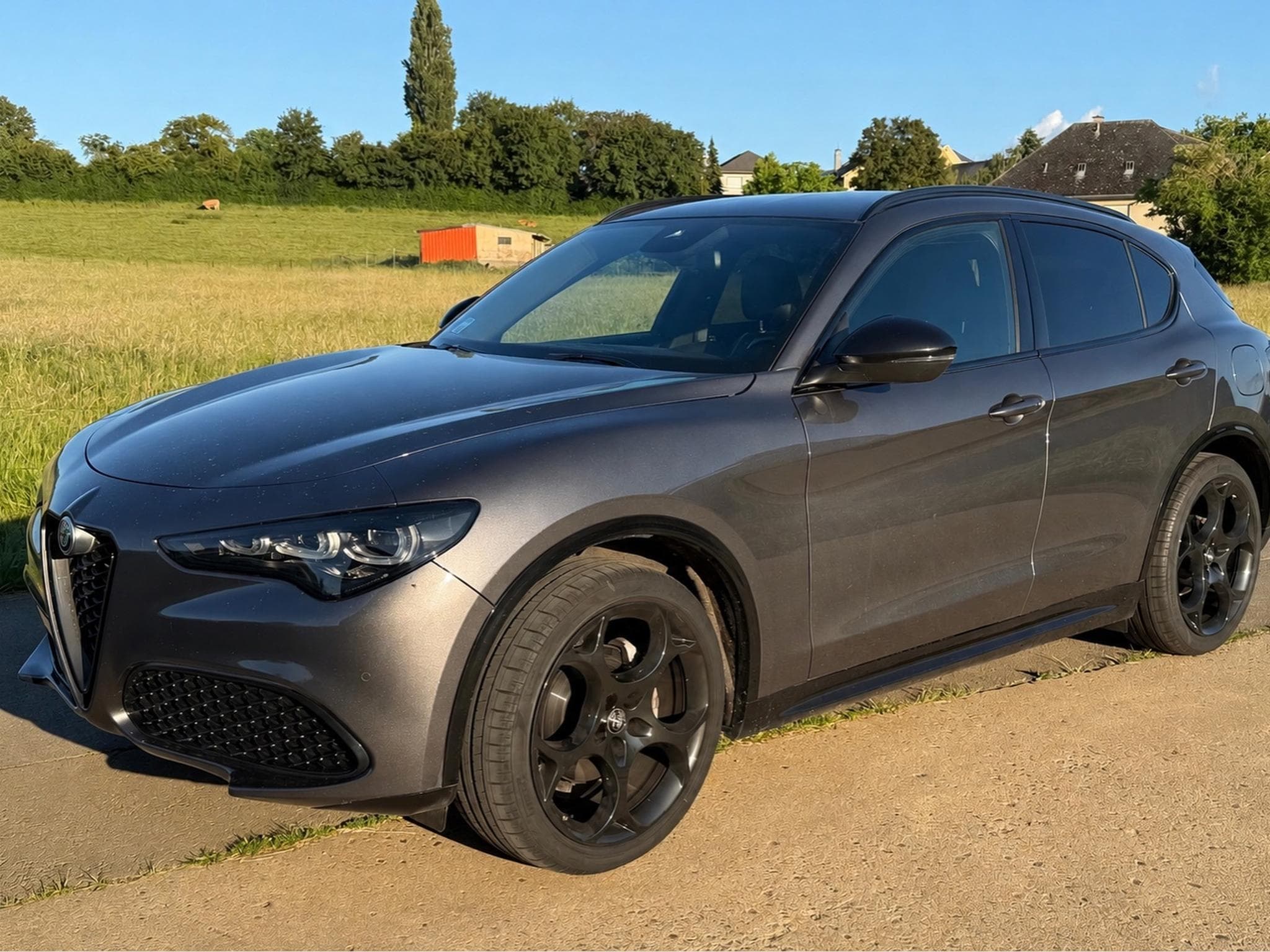 Alfa-Romeo Stelvio MY23 Q4 Veloce Garantie 05/2027 (2023) - Foto 1
