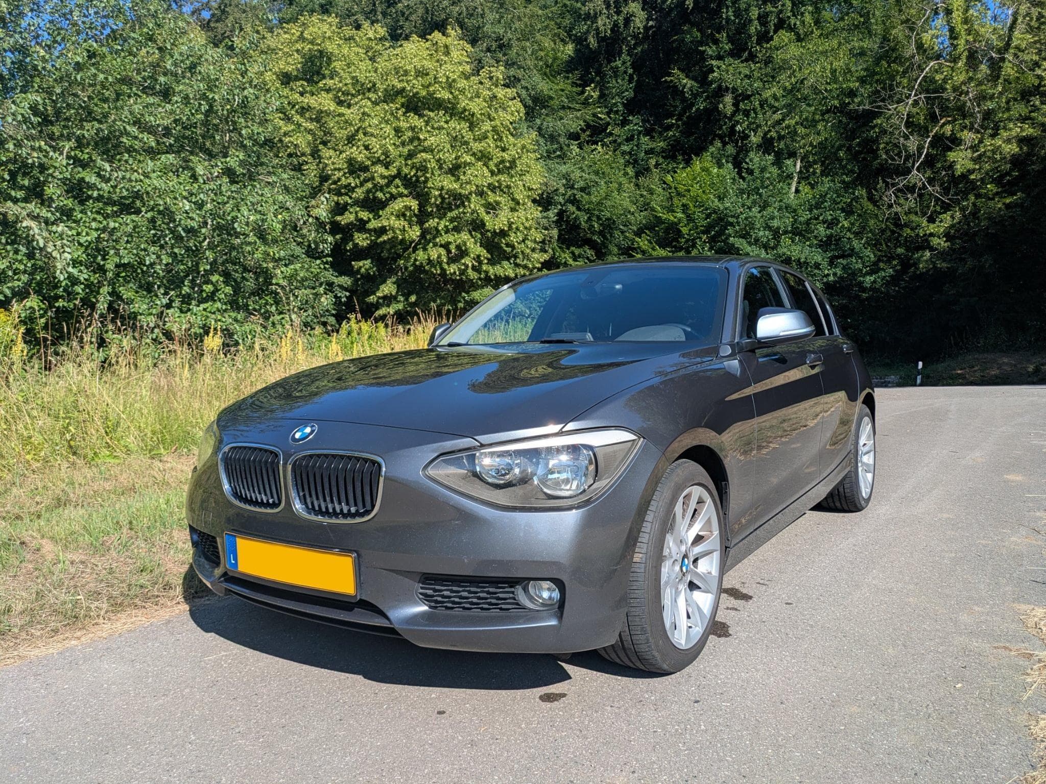 BMW 114 Advantage (2014) - Photo 1