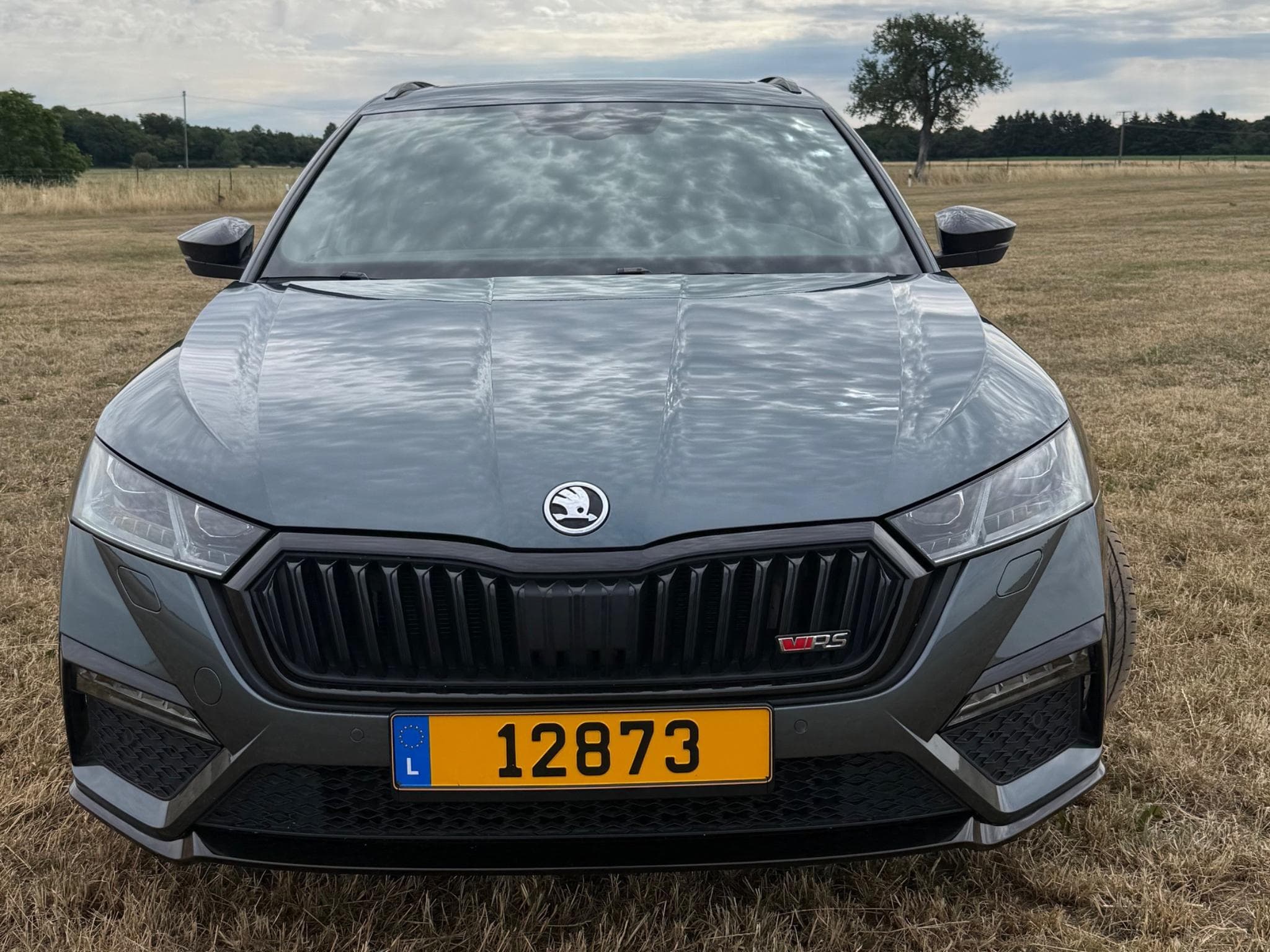 Skoda Octavia RS (2021) - Photo 2