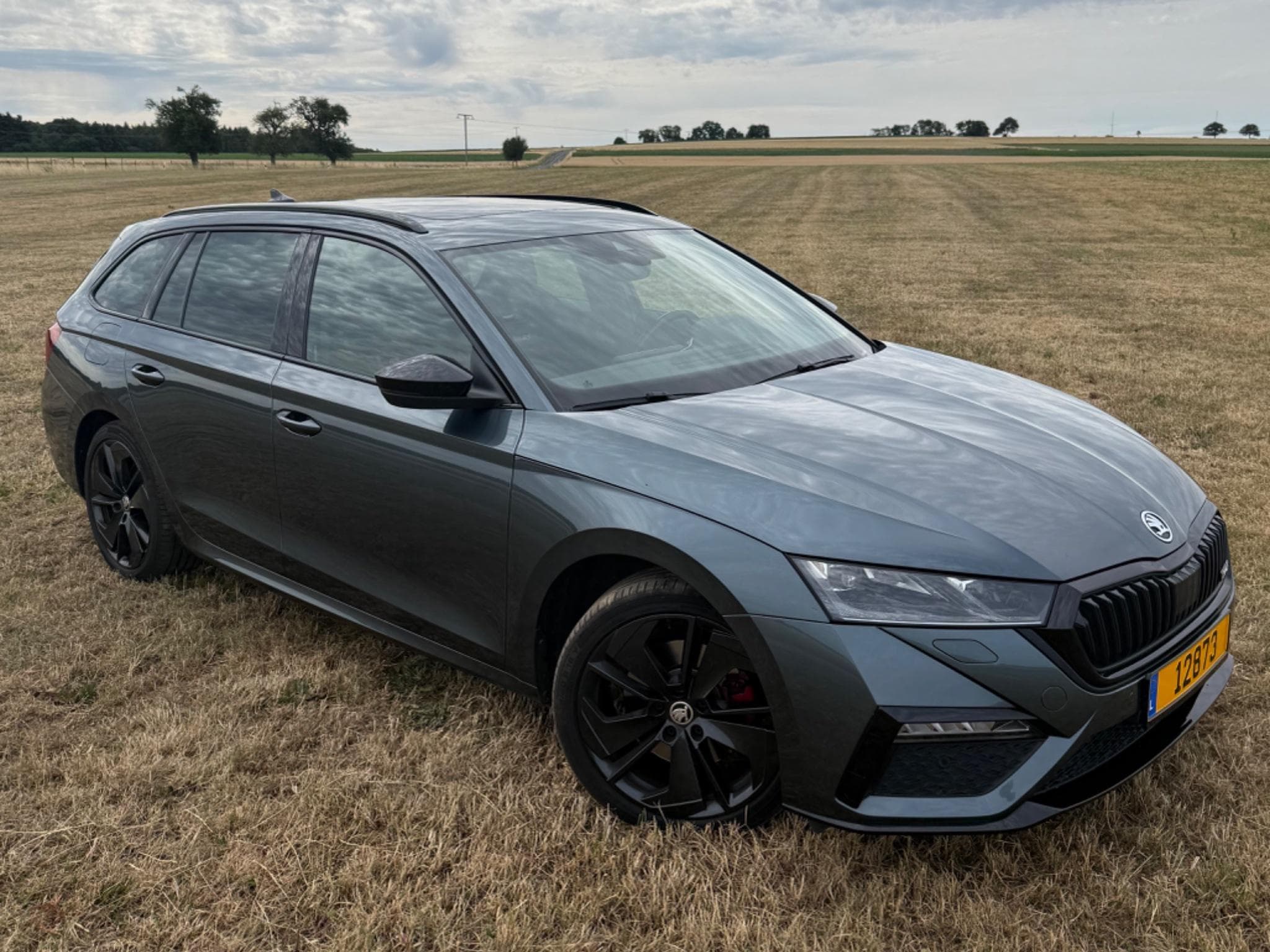 Skoda Octavia RS (2021) - Photo 3