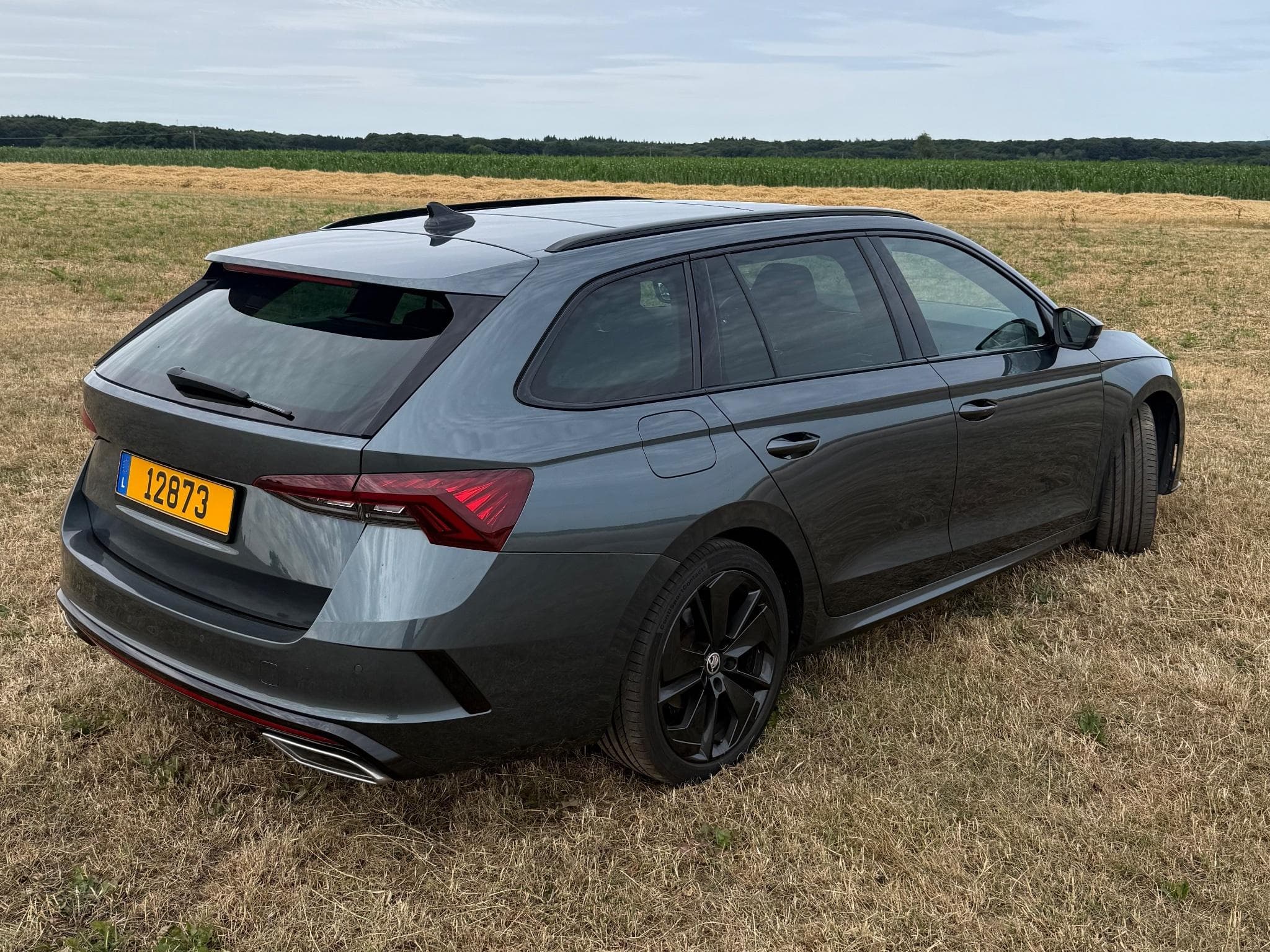 Skoda Octavia RS (2021) - Photo 4