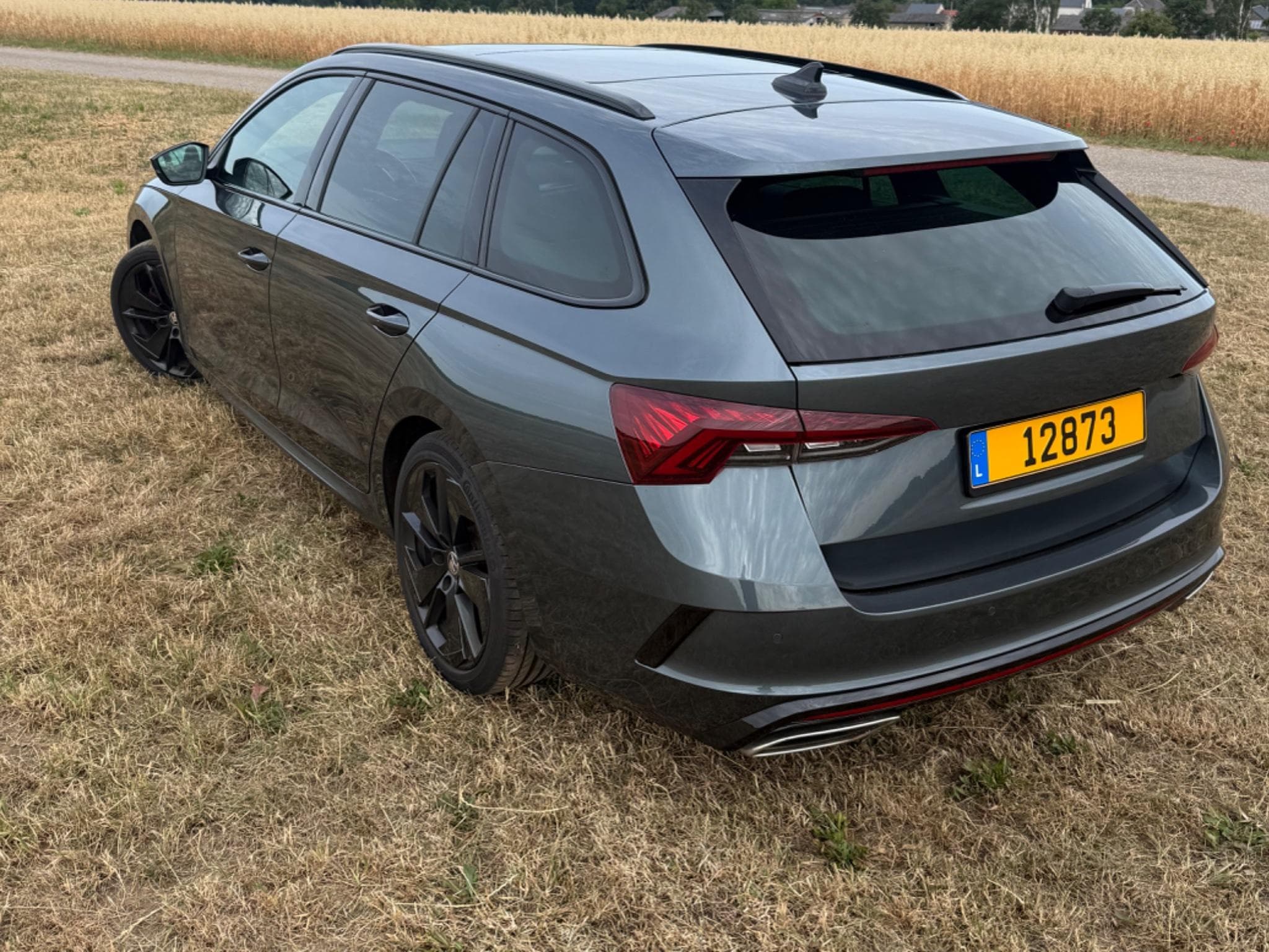 Skoda Octavia RS (2021) - Photo 5