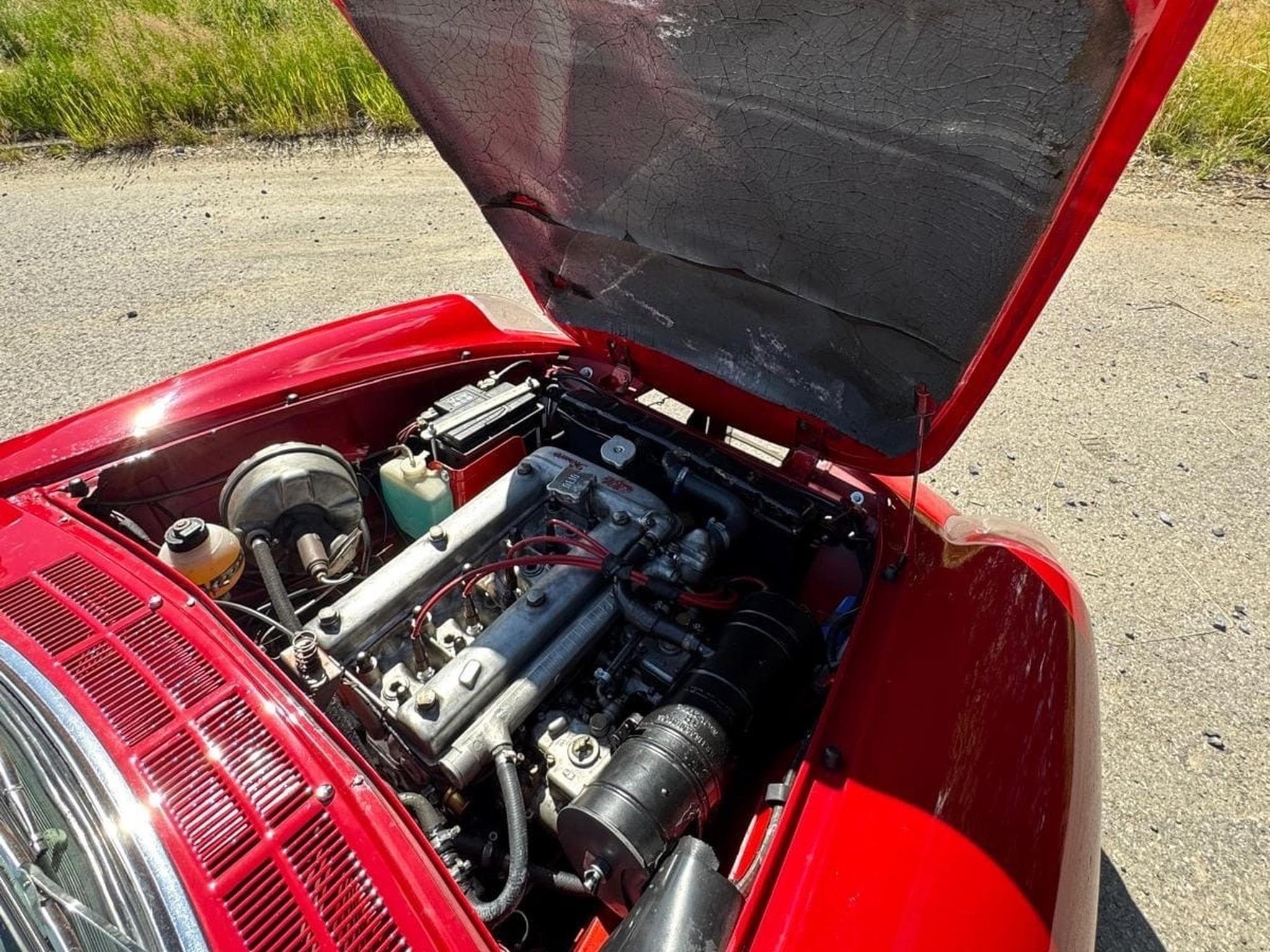 Alfa-Romeo Spider Duetto (1966) - Photo 3