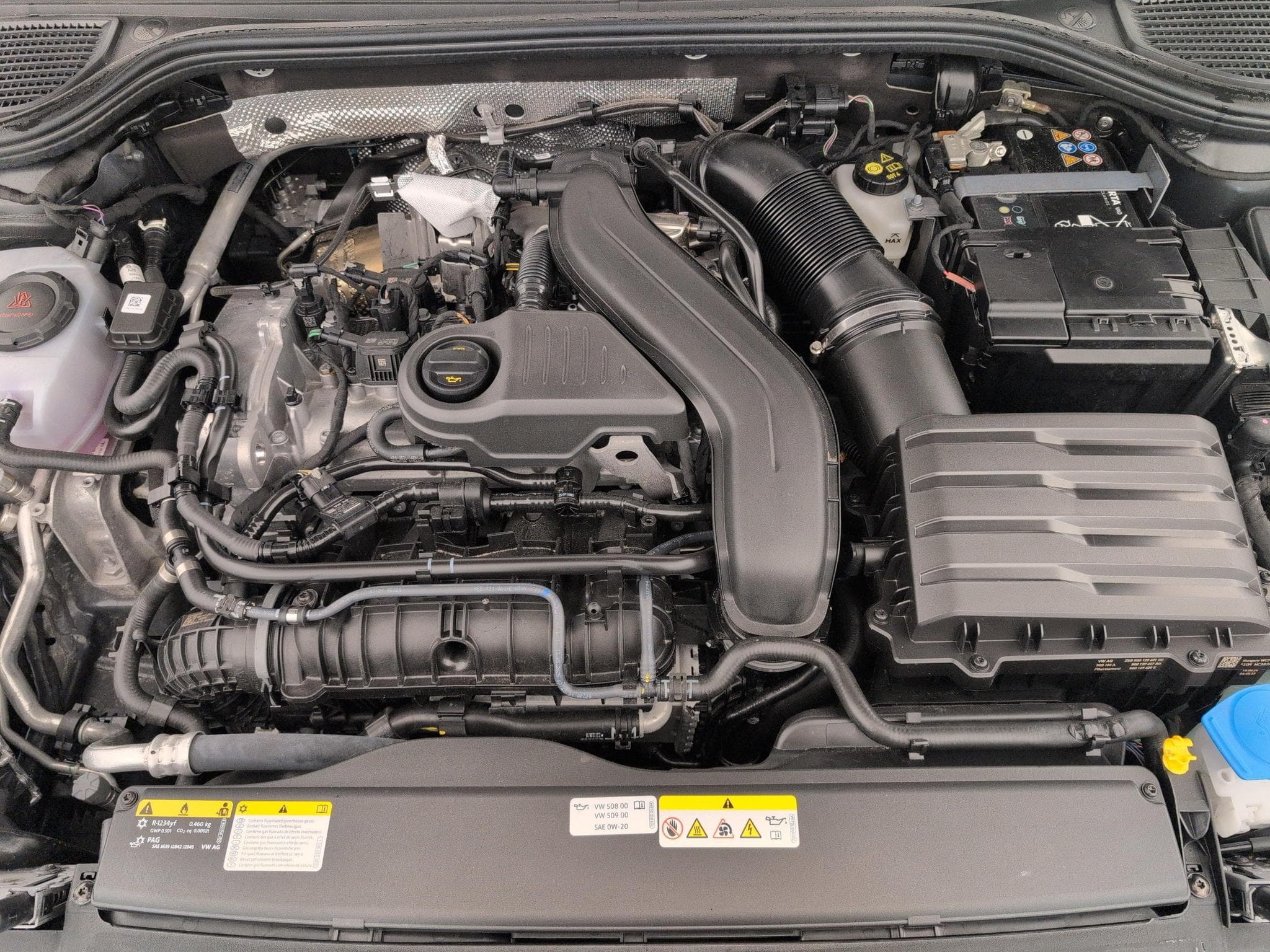 VW Golf VIII 1.5 TSI EVO2 116 BVM6 LIFE PLUS (2025) - Foto 20