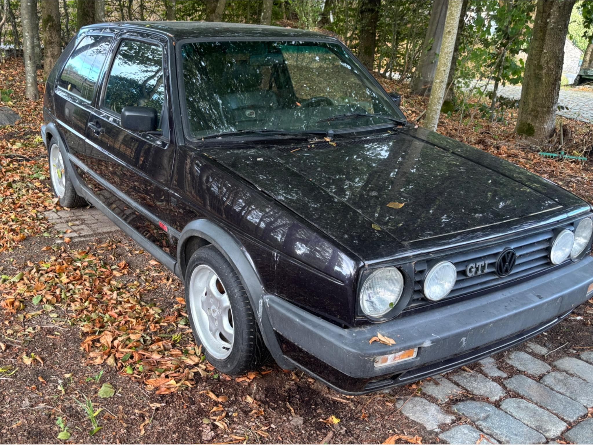 VW Golf Golf 2 Gti (1991) - Photo 3