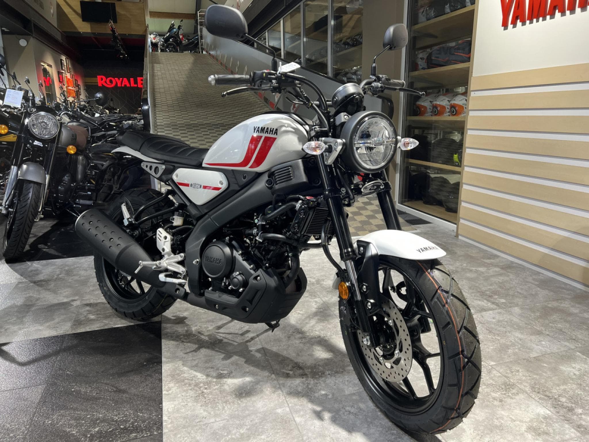 Yamaha XSR (2026) - Photo 7