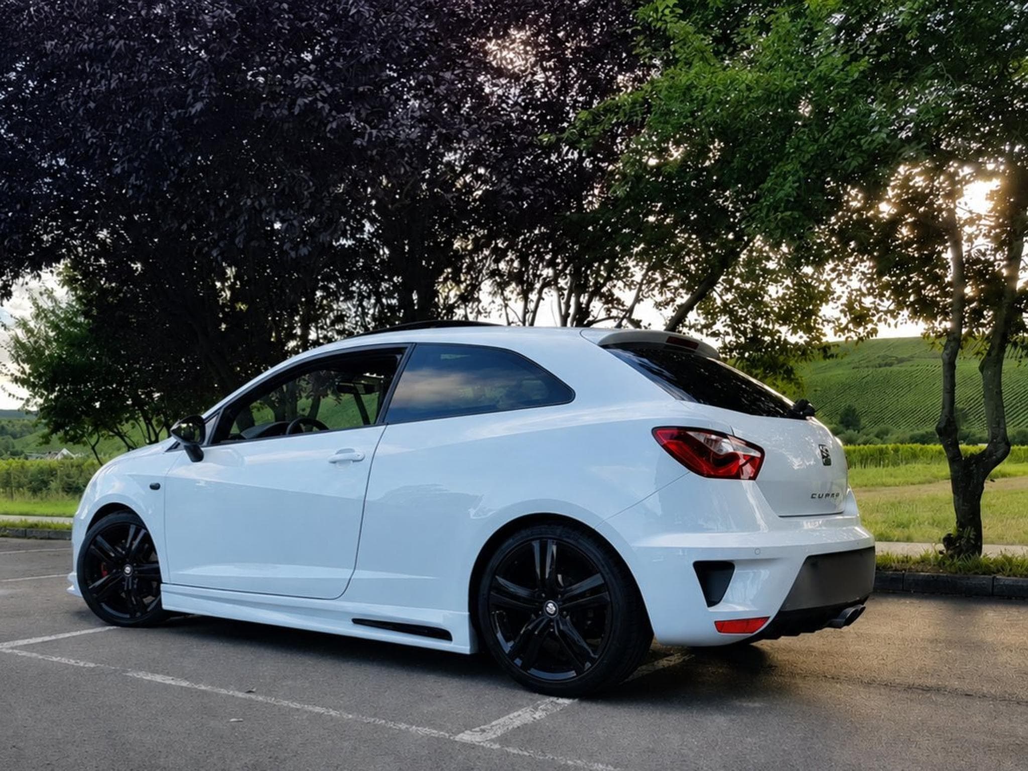 Seat Ibiza Cupra 1.8 TSI (2016) - Photo 2